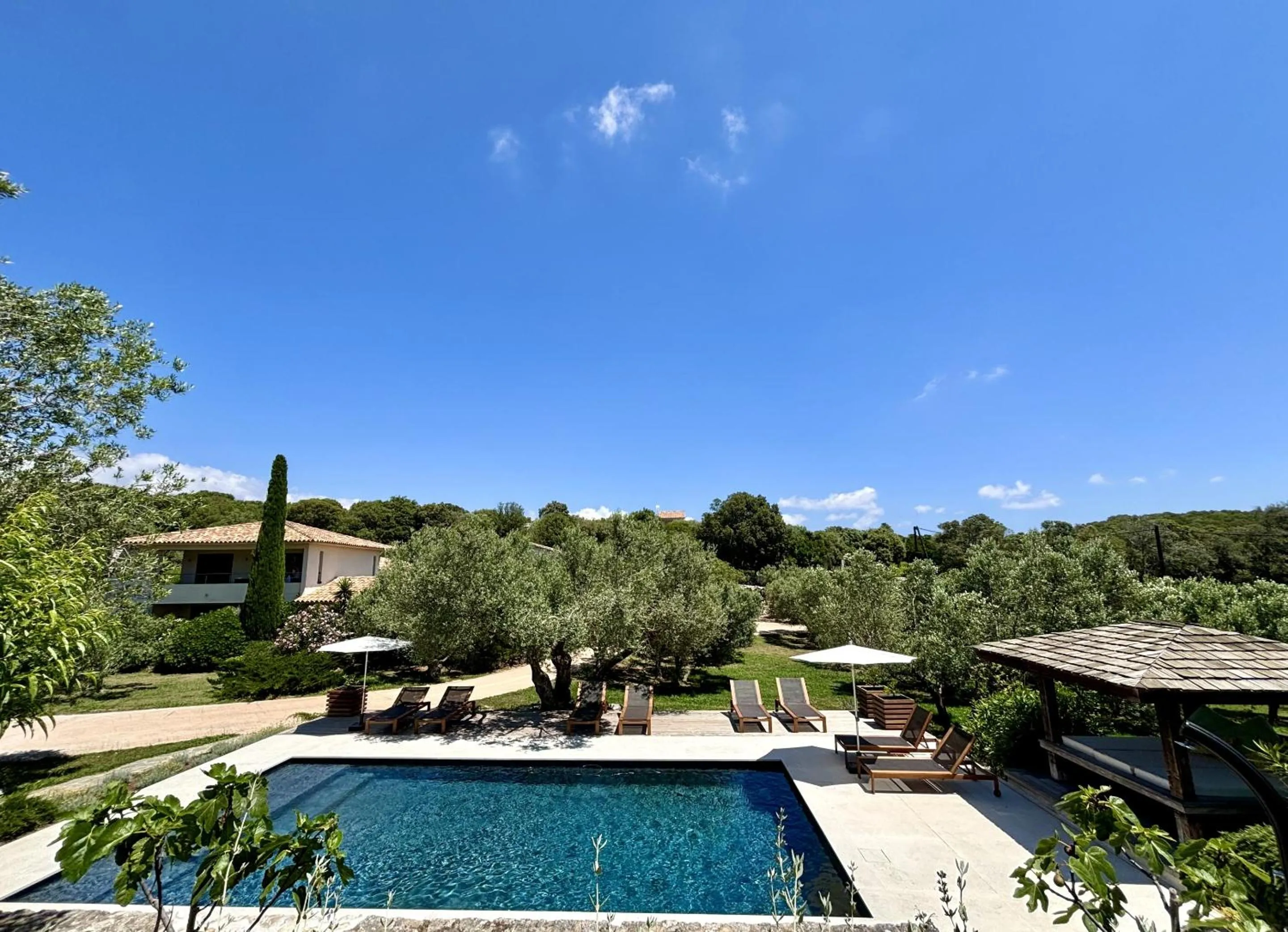 Pool view in Nature & Design