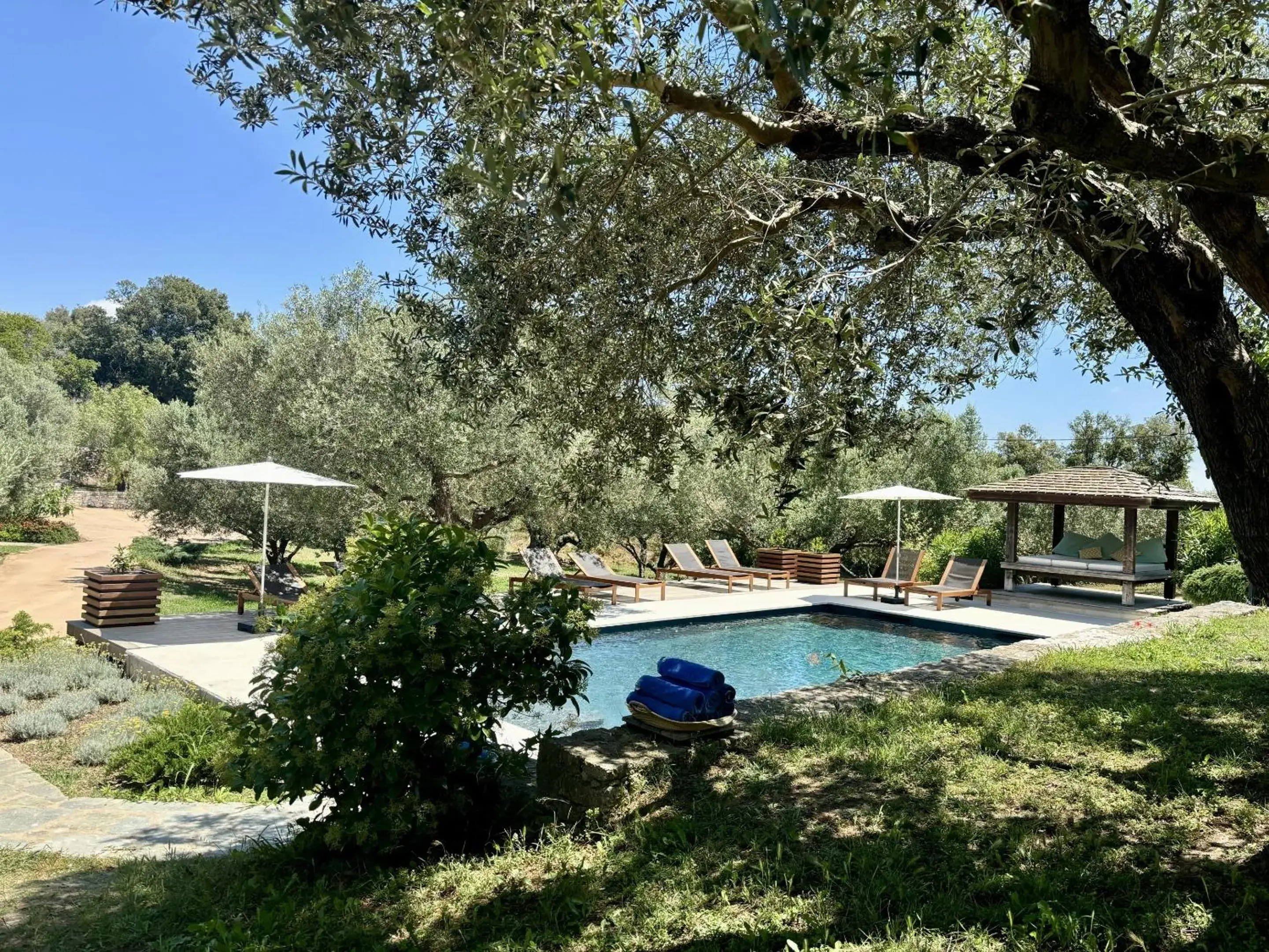 Pool view in Nature & Design Pool view in Nature & Design