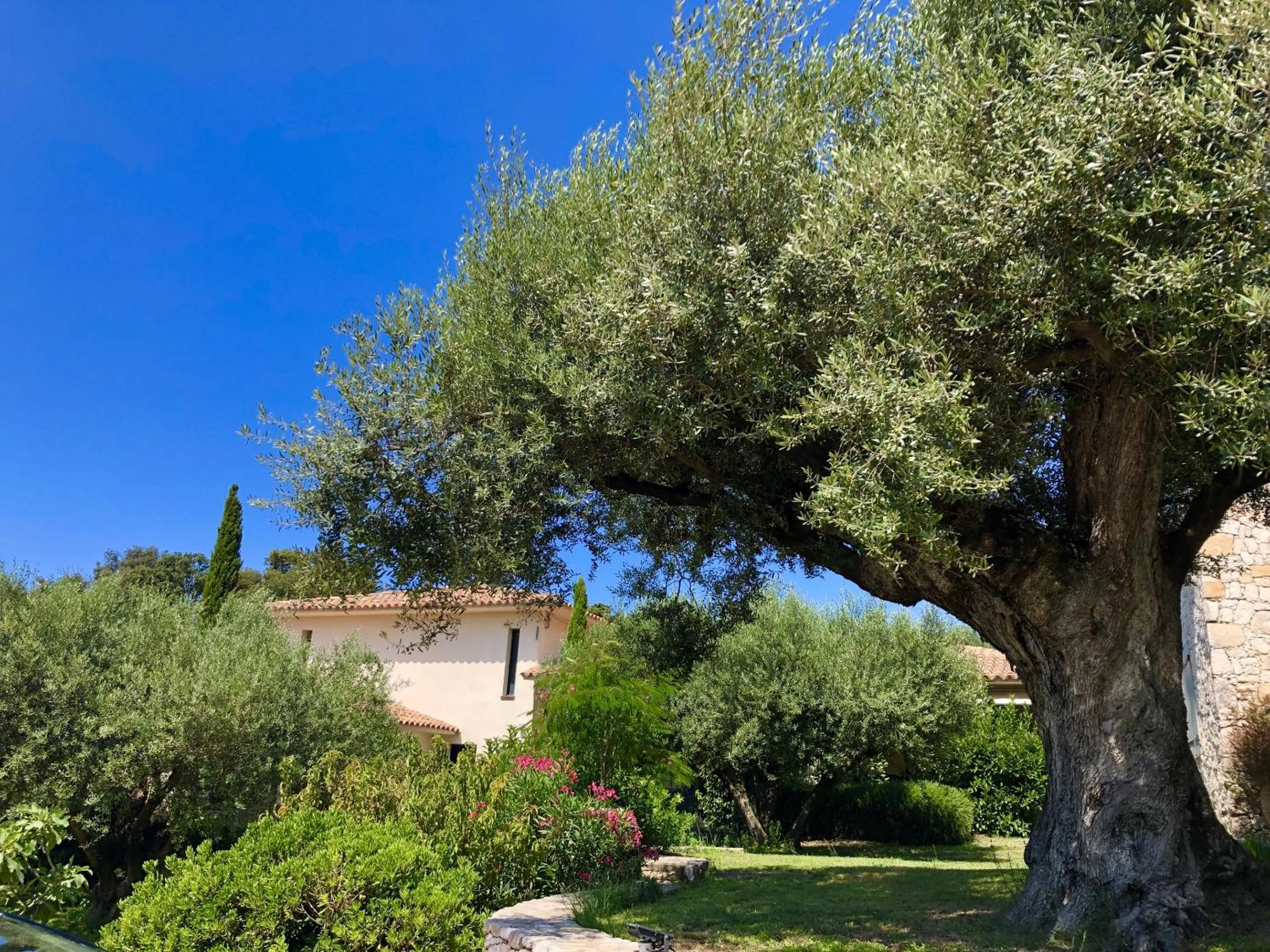 Property building in Nature & Design