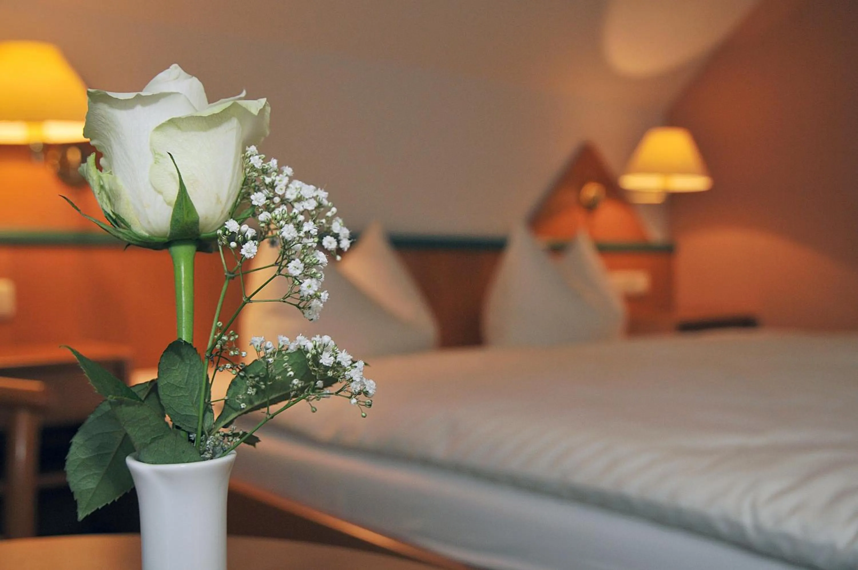 Photo of the whole room in Hotel Friesen