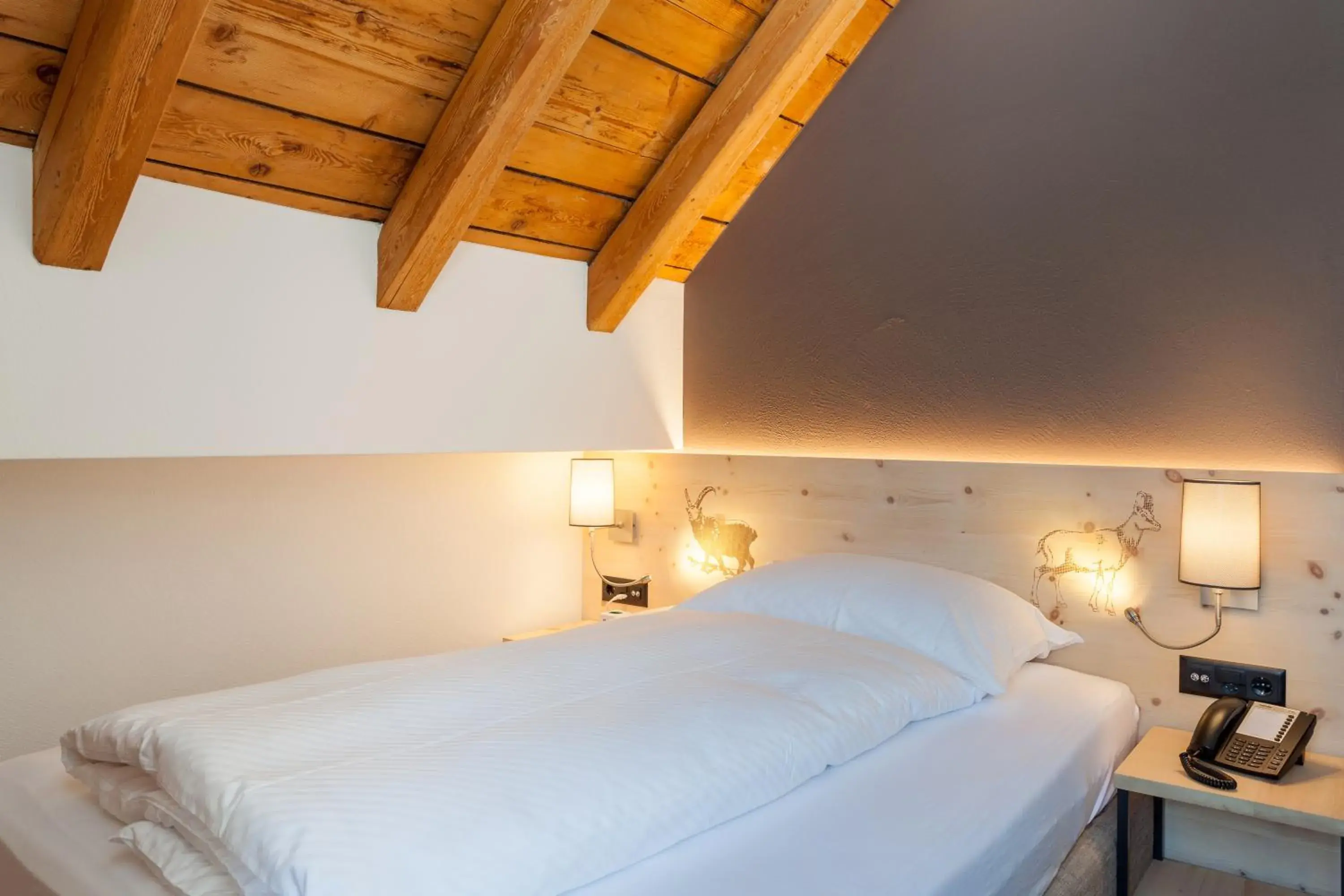 Single Room with Lake View in Hotel Waldhaus am See Single Room with Lake View in Hotel Waldhaus am See