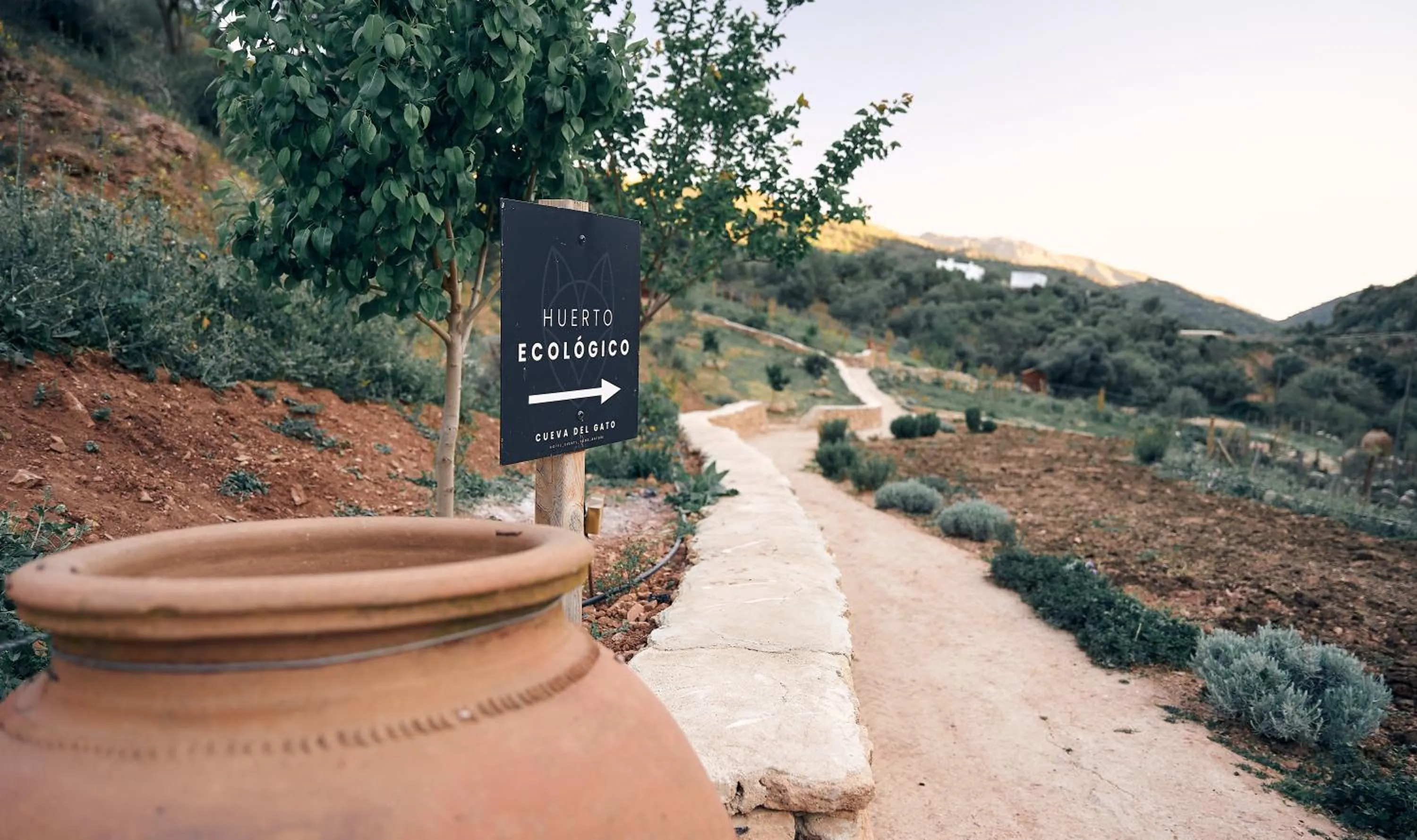 Garden in Eco Hotel Cueva del Gato