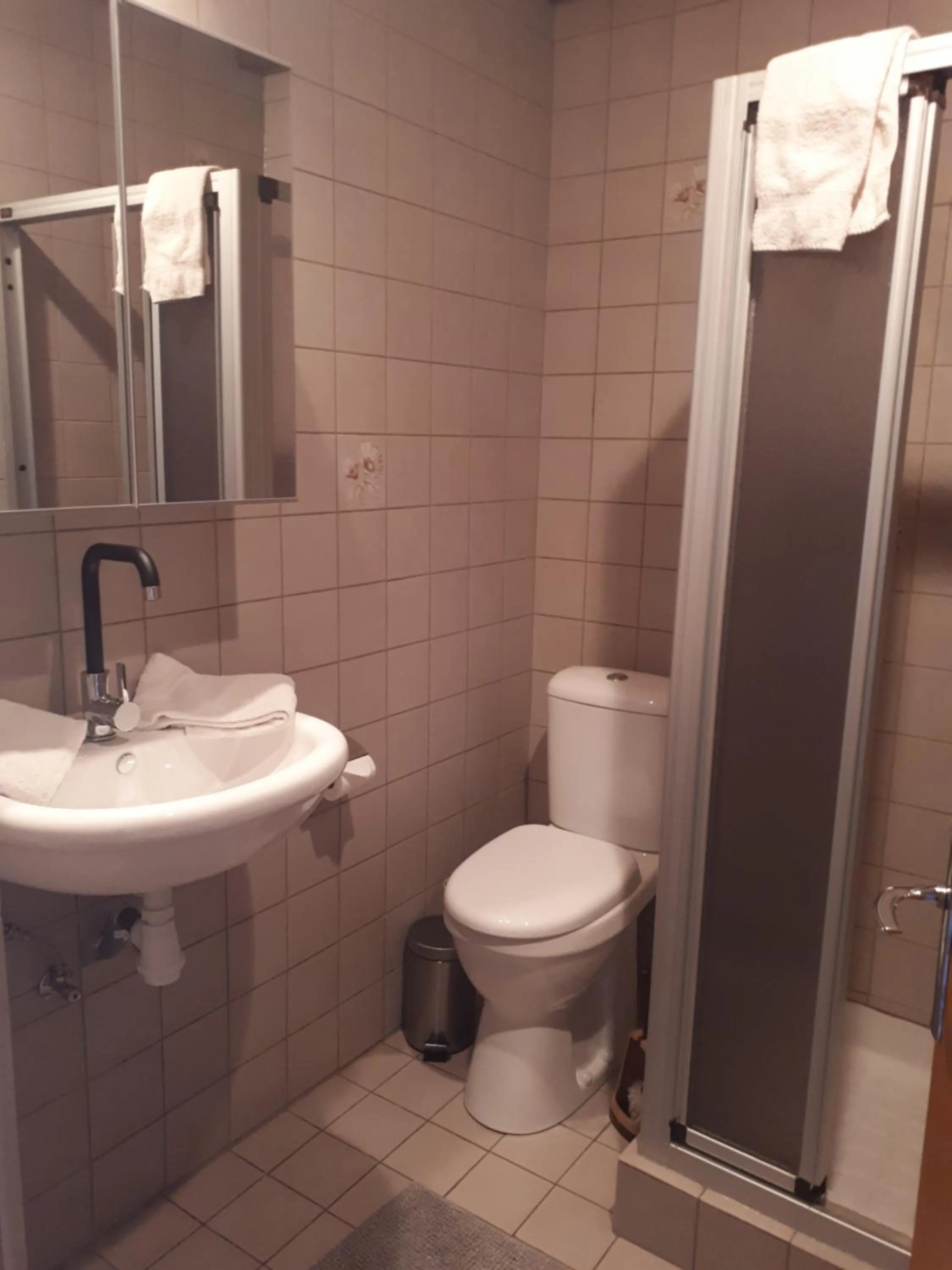 Shower in Leo's Chambres d'Hôte