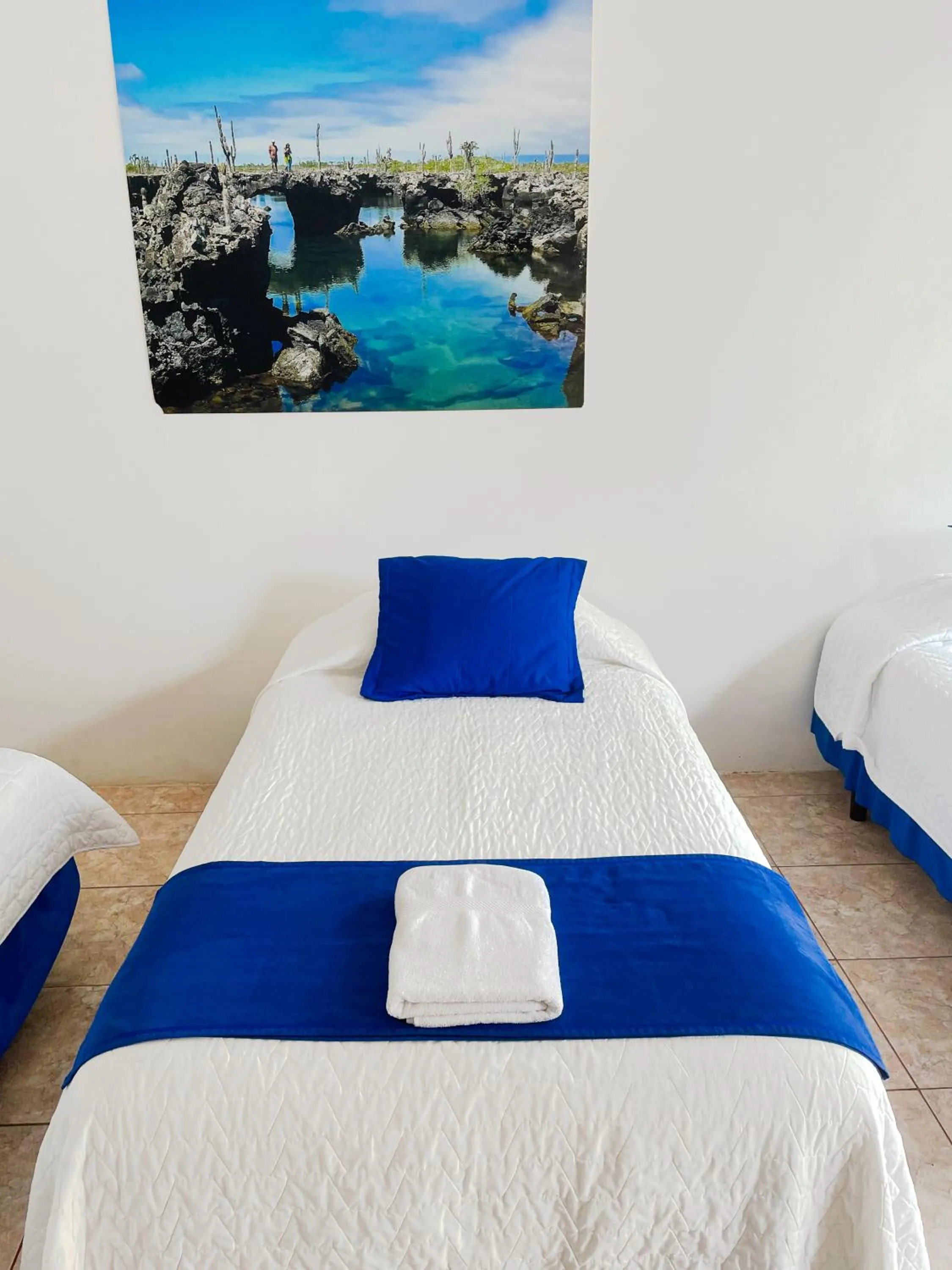 Bed in Gran Hostal Tintorera