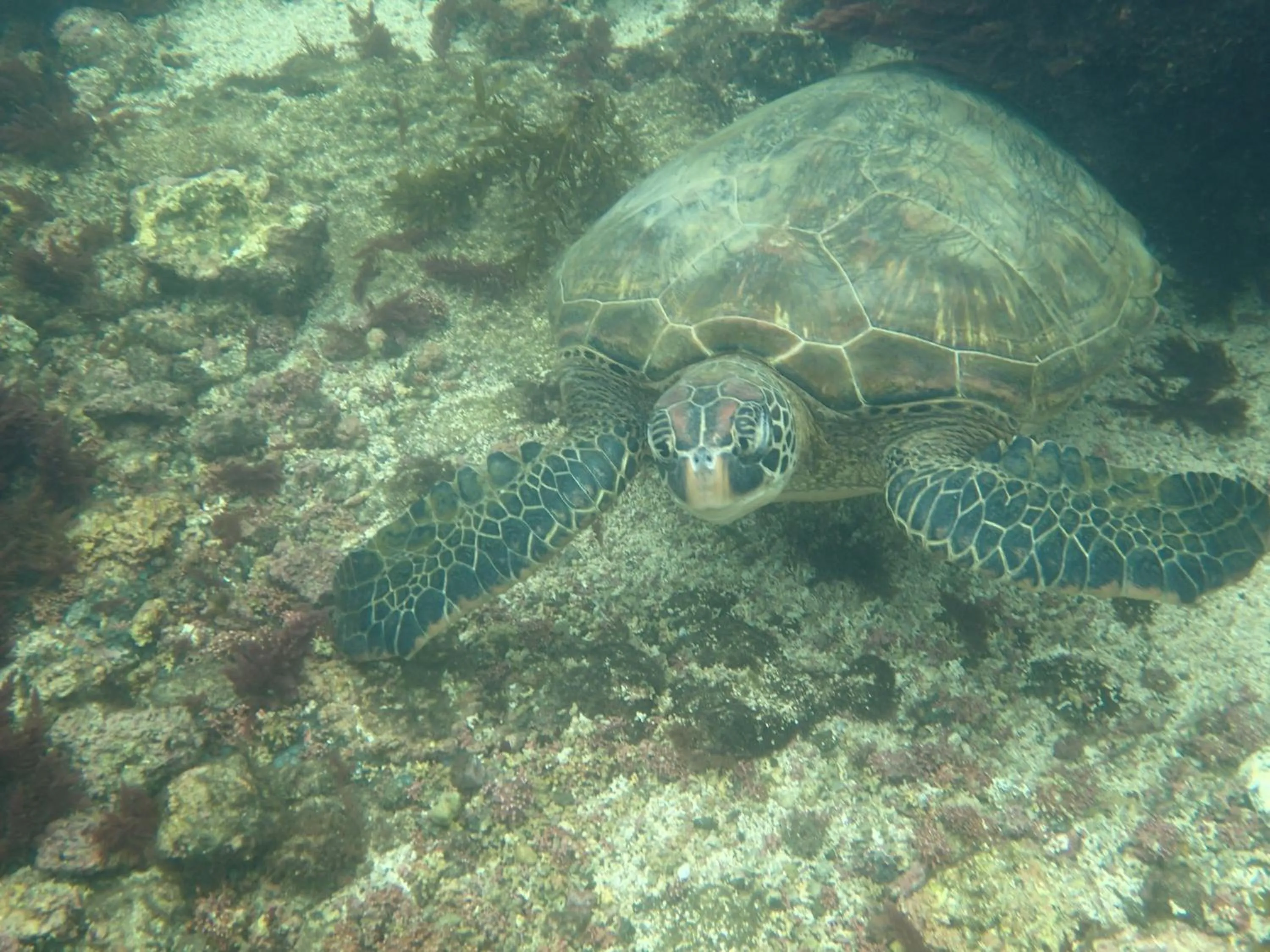 Natural landscape in Gran Hostal Tintorera