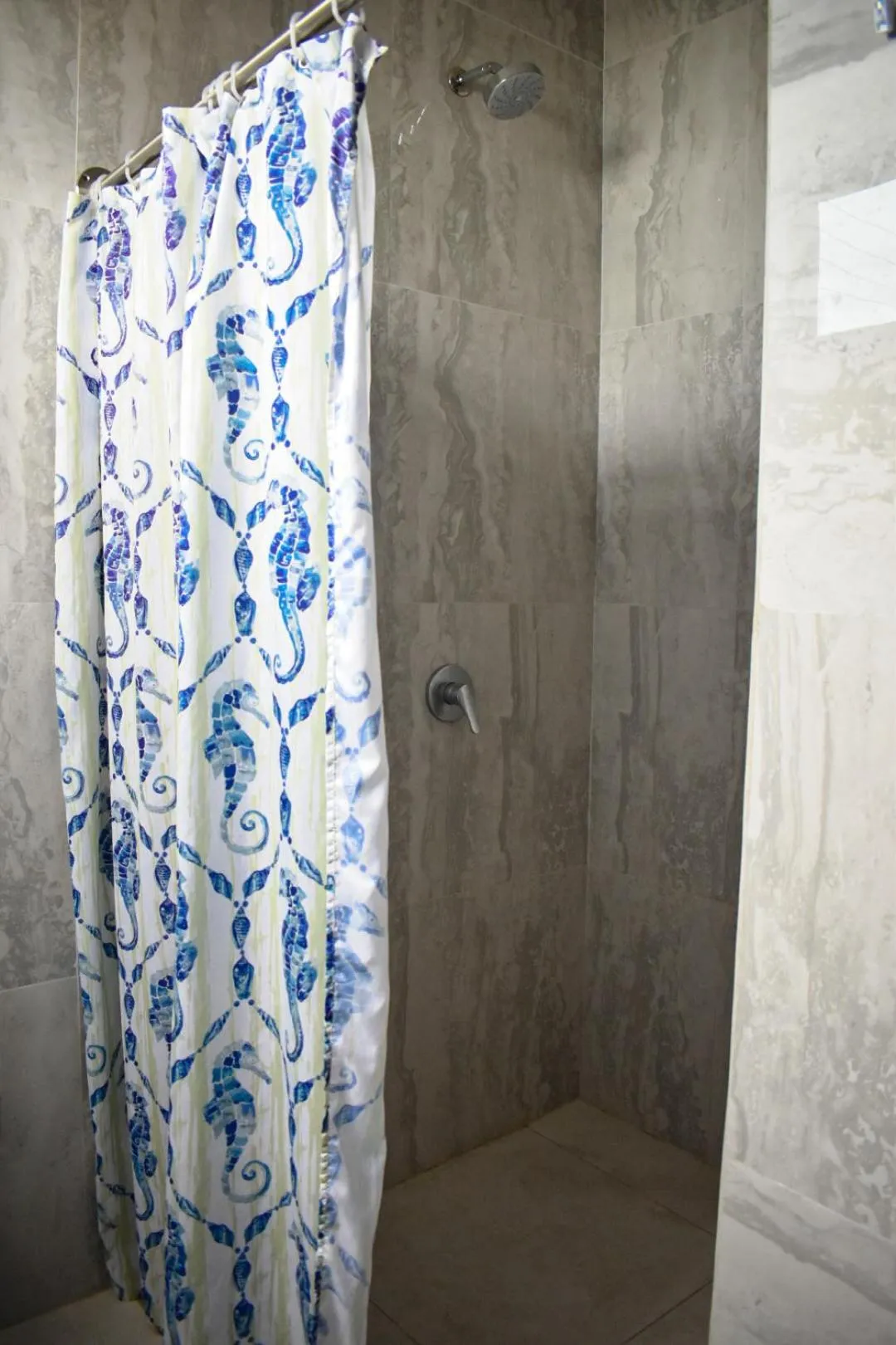 Shower in Gran Hostal Tintorera