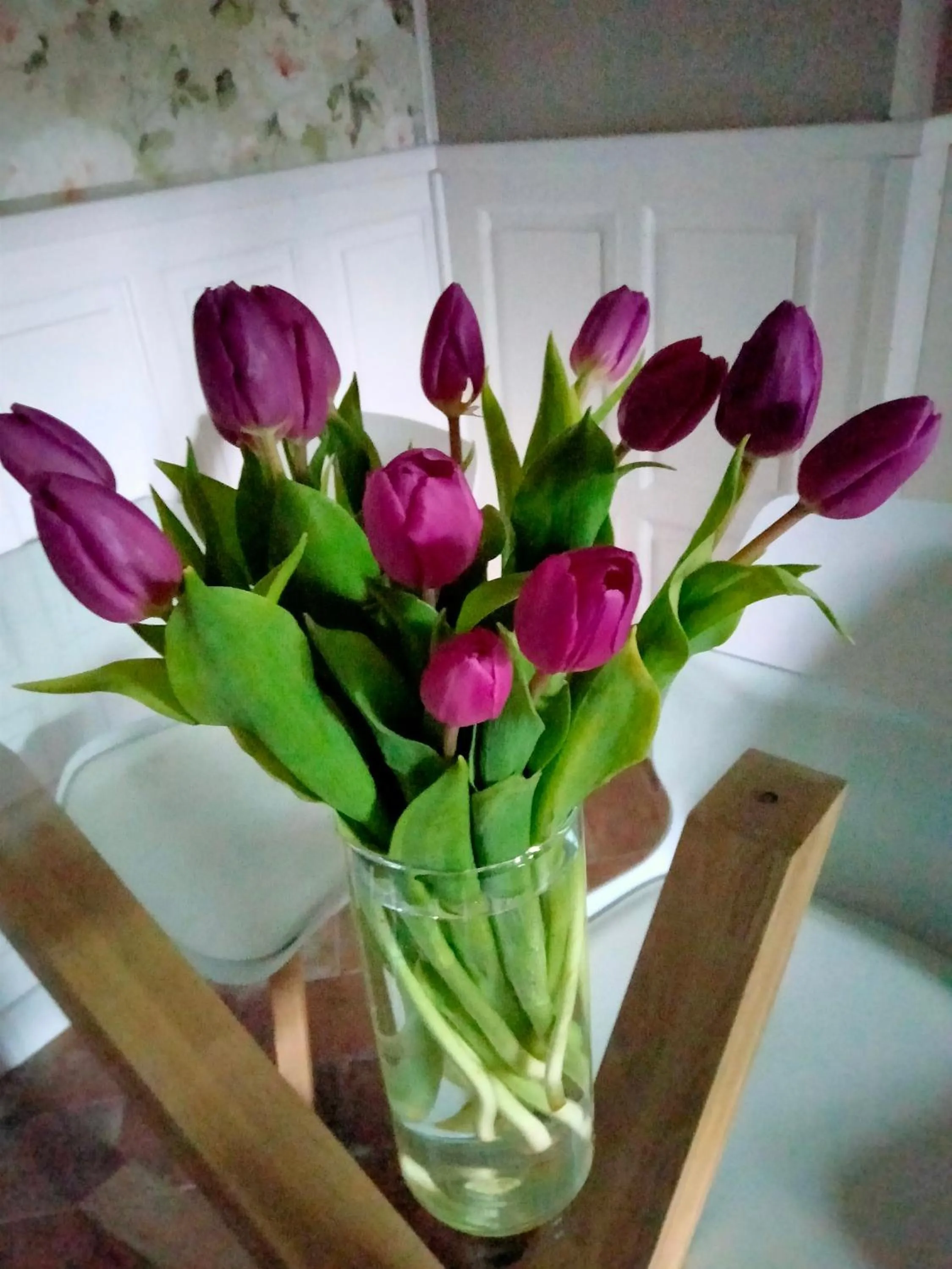 Area and facilities in Bed&Breakfast Villa Camilla