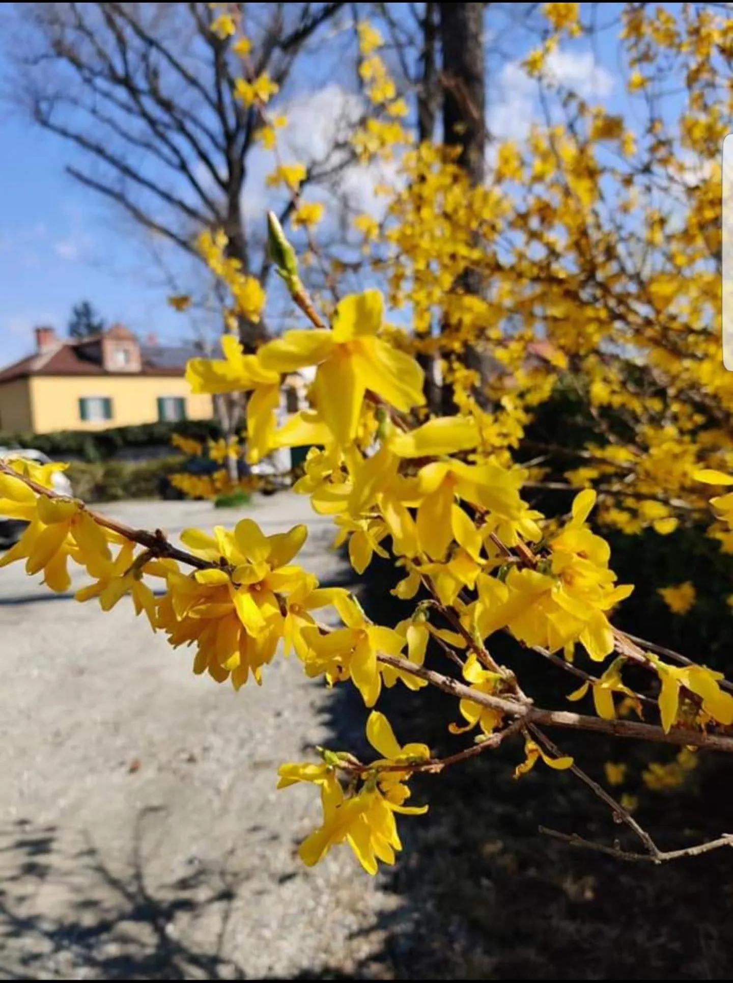 Property building in Bed&Breakfast Villa Camilla