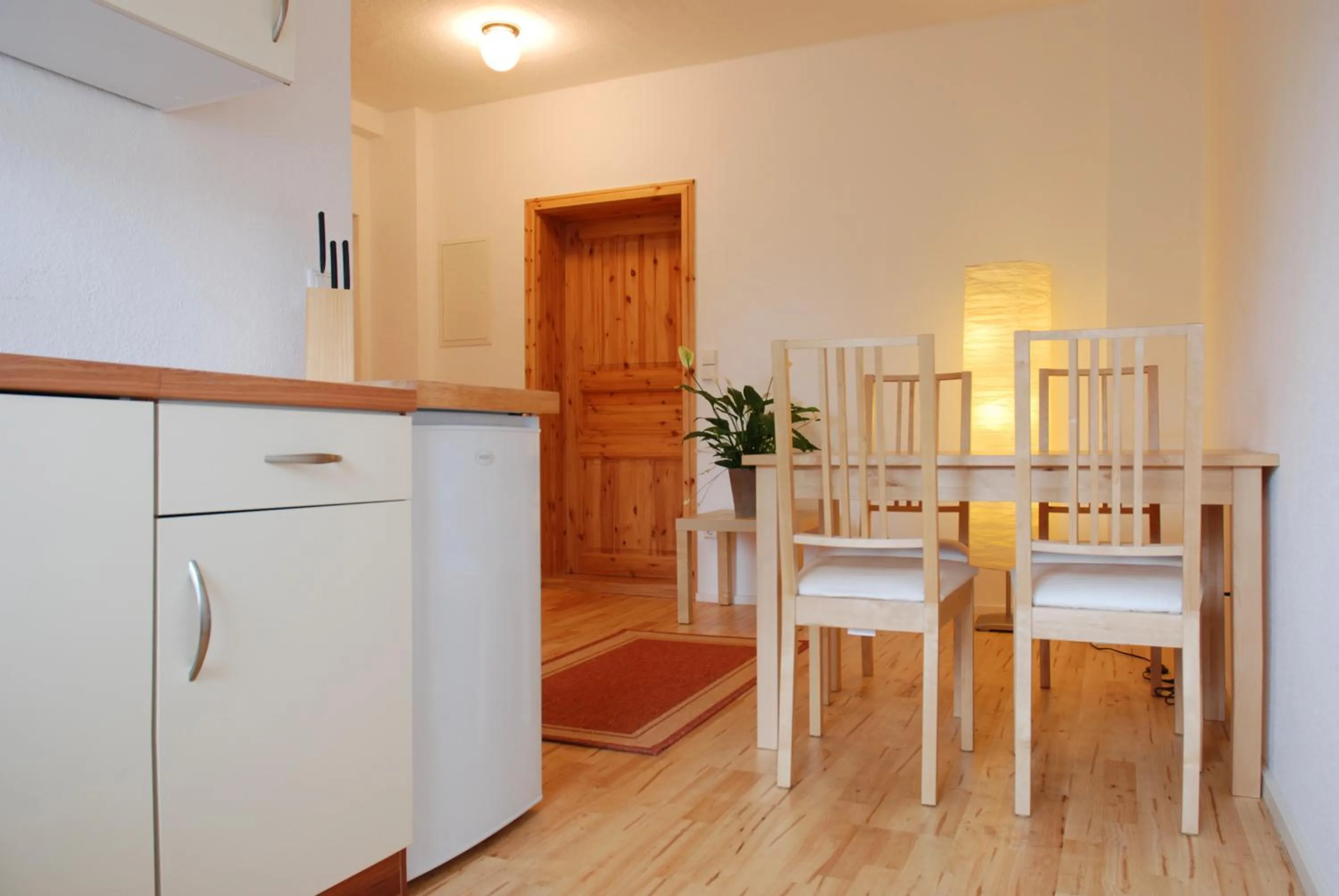 Kitchen or kitchenette in Apartmentpension am Stadtschloss
