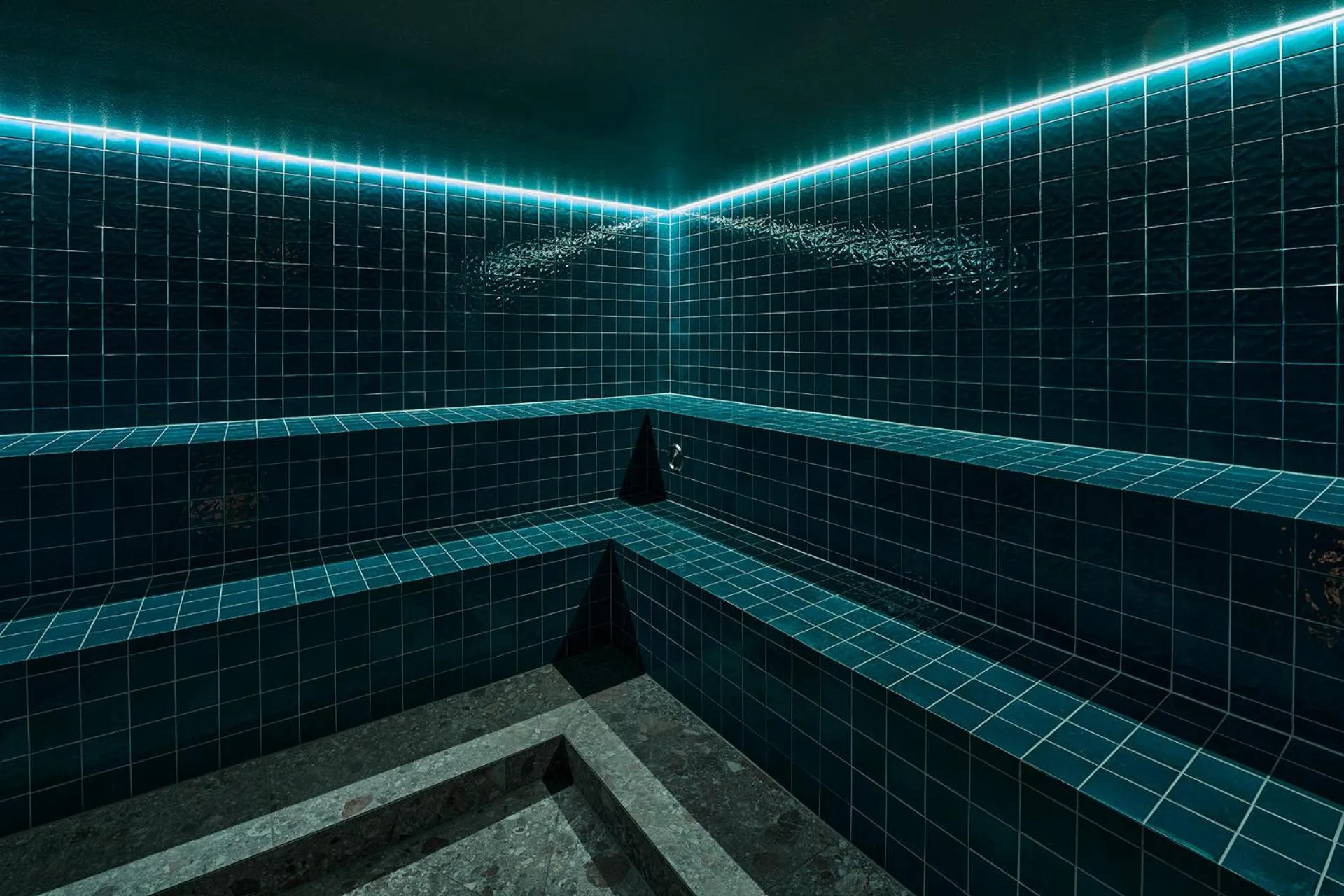 Spa and wellness centre/facilities in Hotel Laudinella