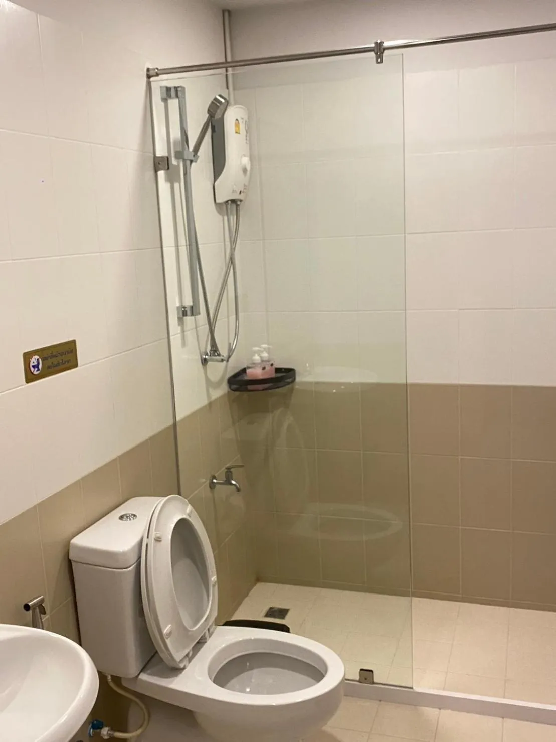 Toilet in Psych Hostel