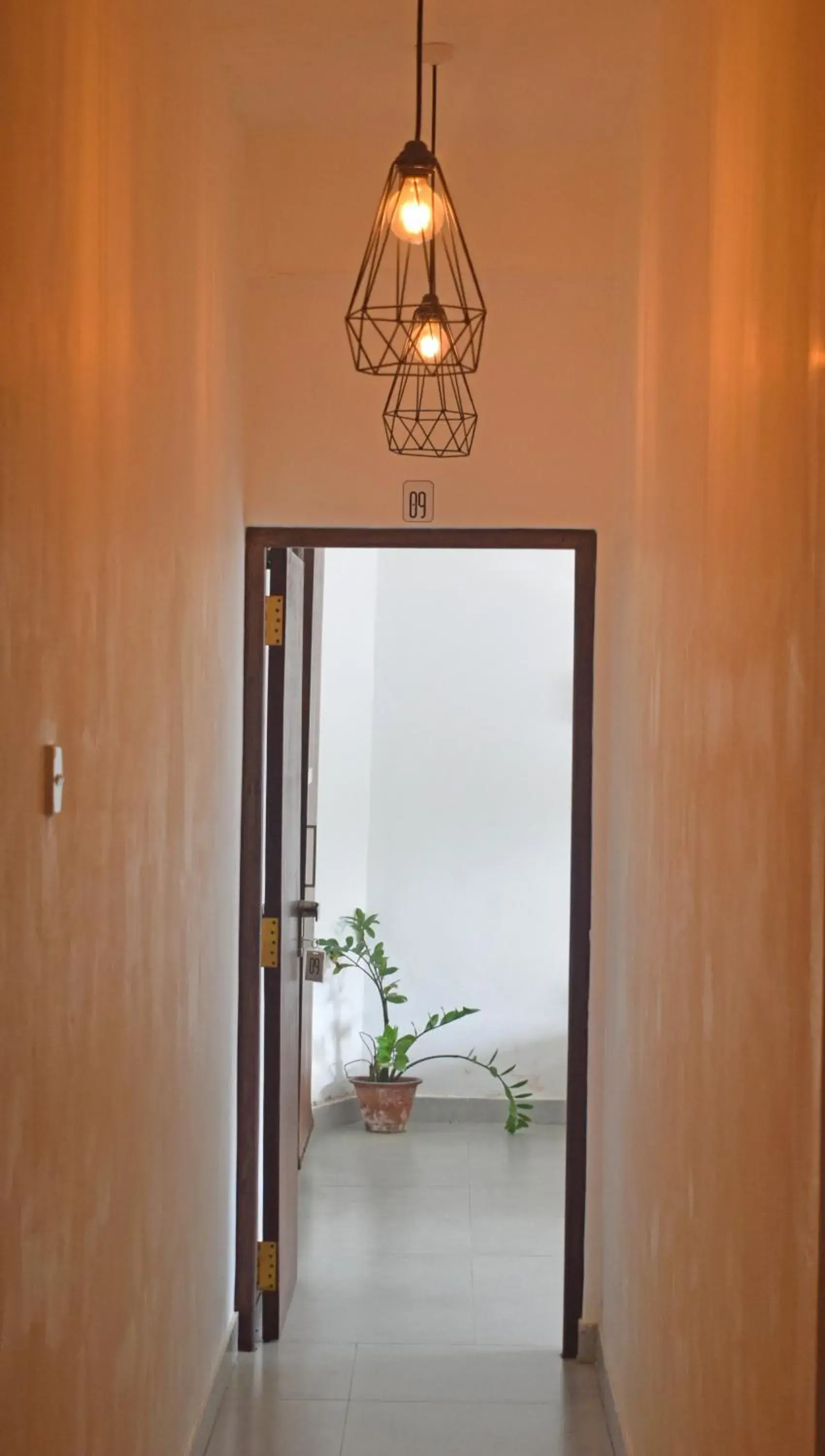 Property building in City Beds Colombo Property building in City Beds Colombo