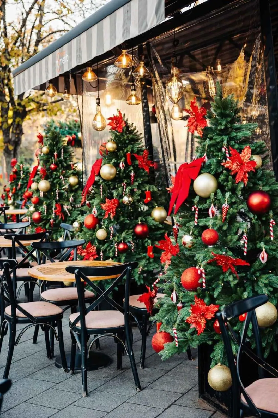 Restaurant/places to eat in Hotel Splendid