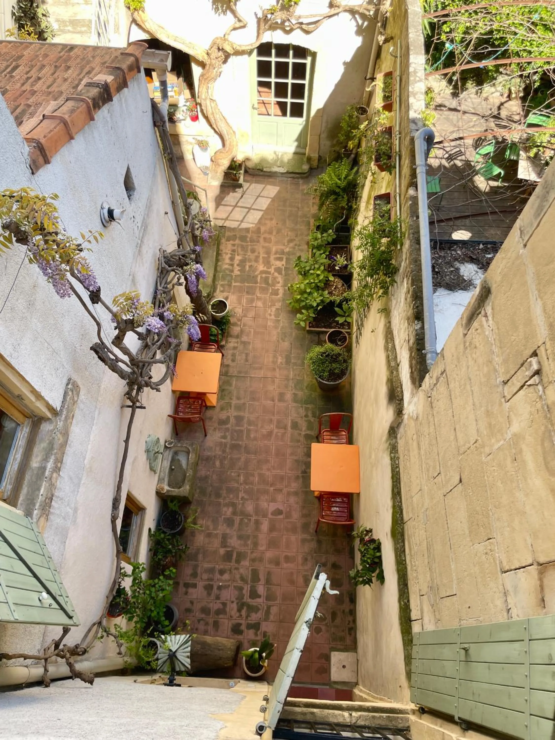 Garden in Le Patio d'Arles