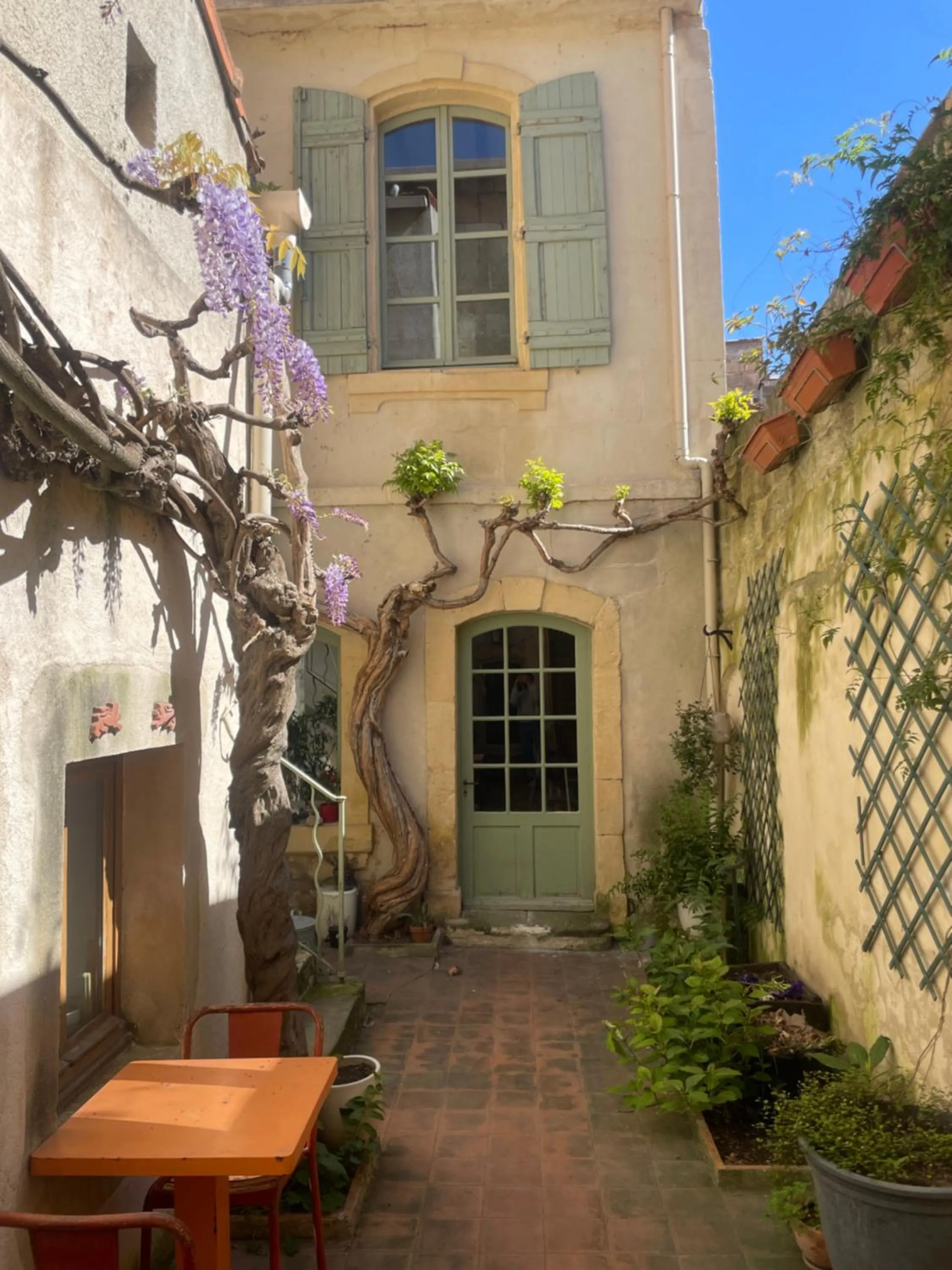 Garden in Le Patio d'Arles