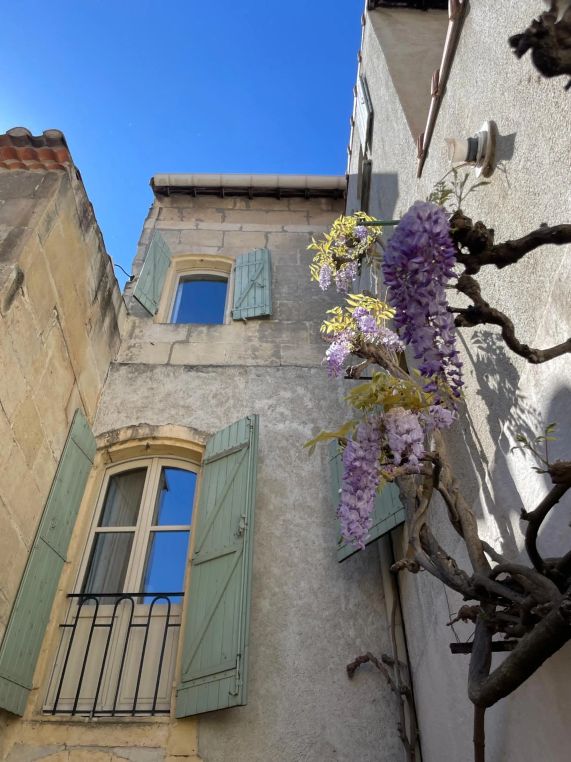 Garden in Le Patio d'Arles