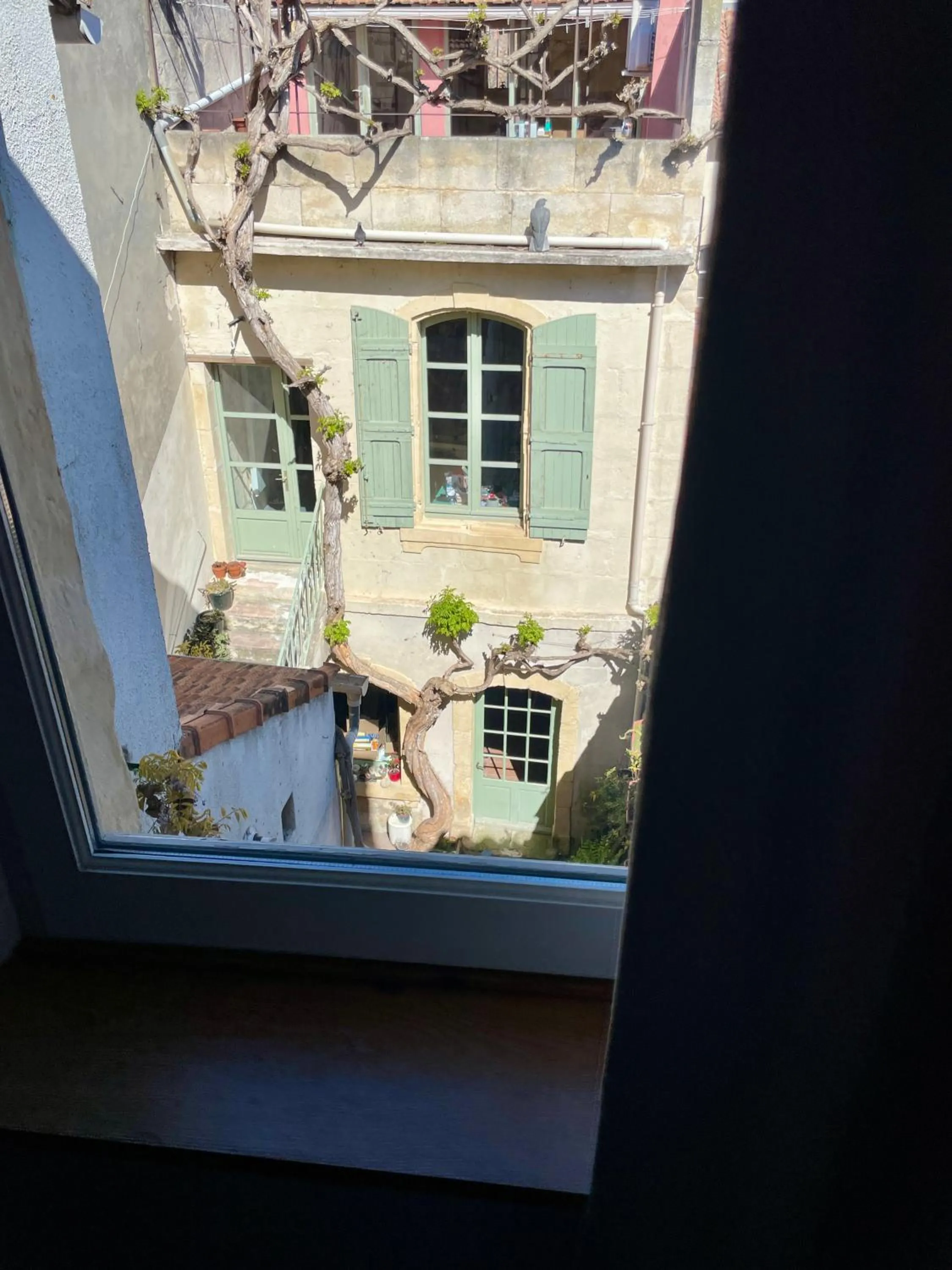 Le Patio d'Arles