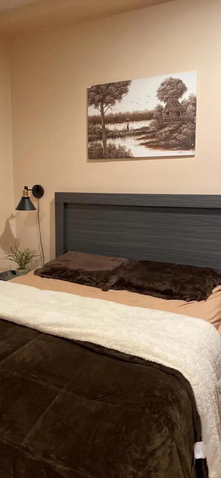 Budget Double Room in Palau Paradise Comfort Budget Double Room in Palau Paradise Comfort