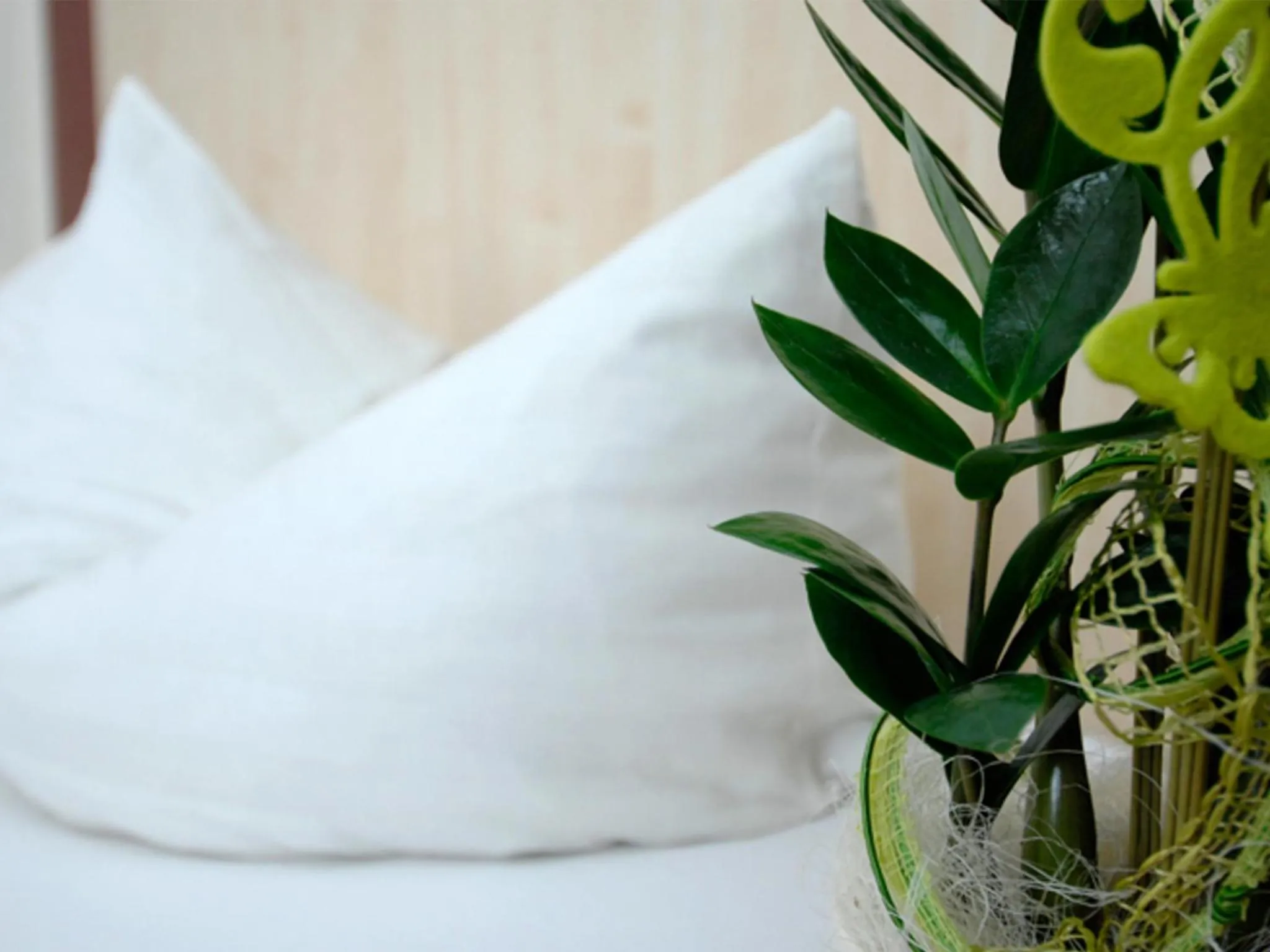 Bed in Land-gut Hotel zum Löwen Garni