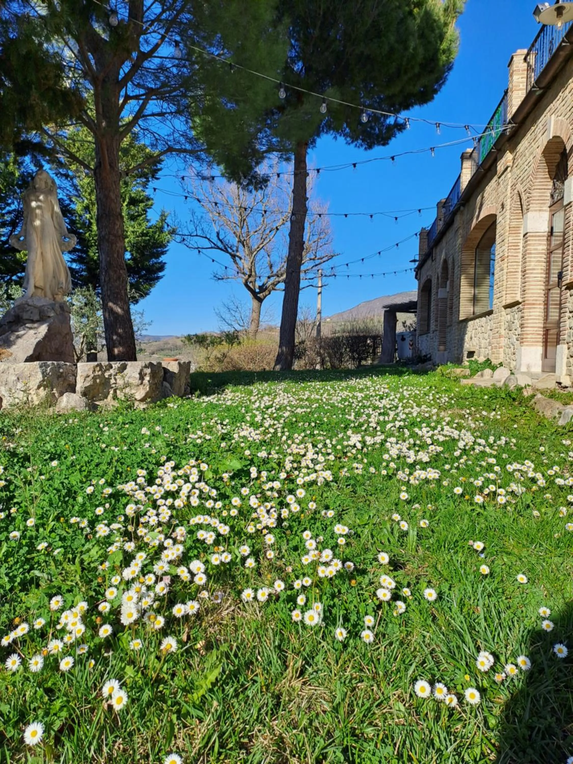 Garden in Hotel Lo Smeraldo