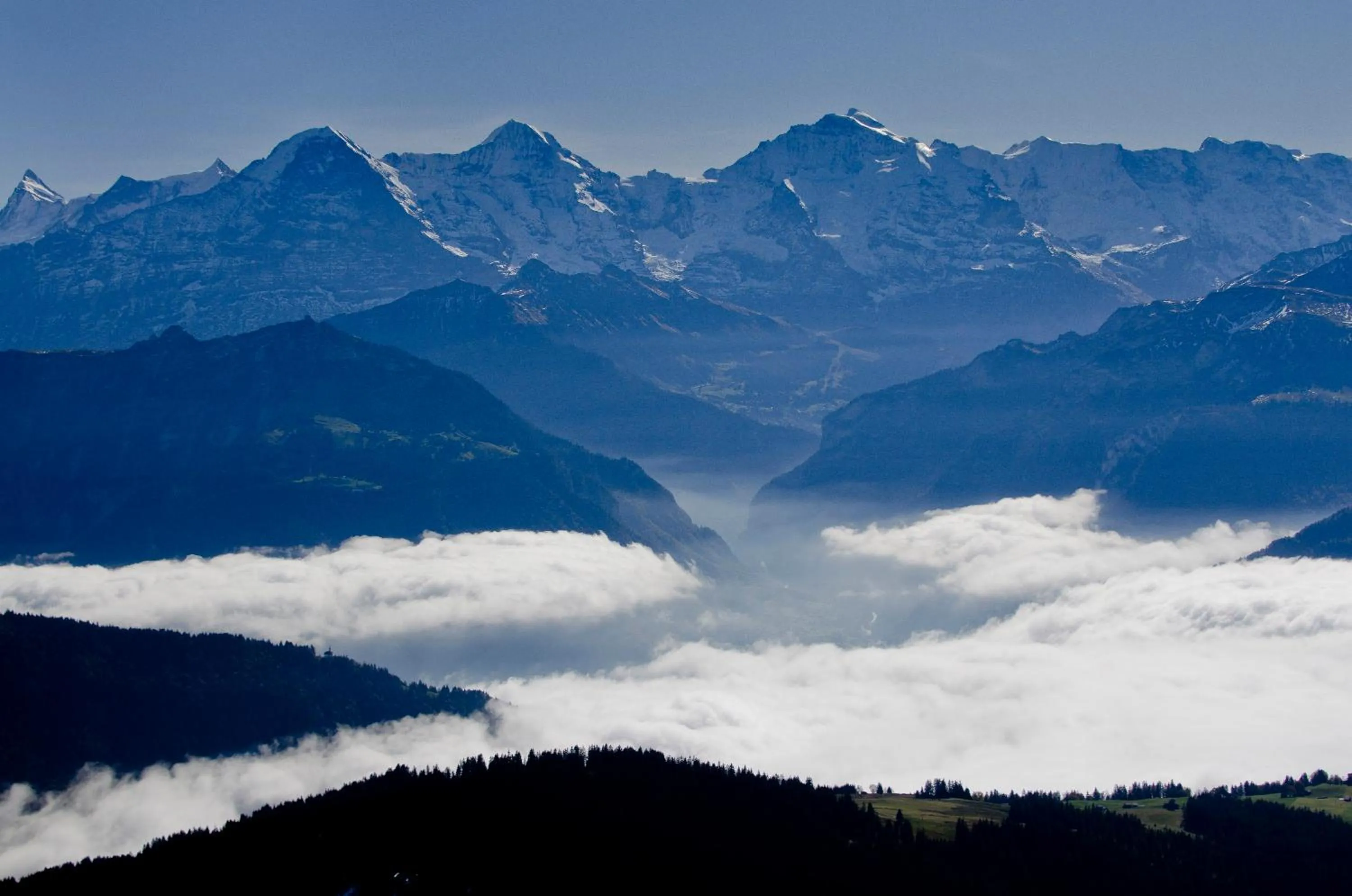 Natural landscape in Hotel Fassbind Beausite