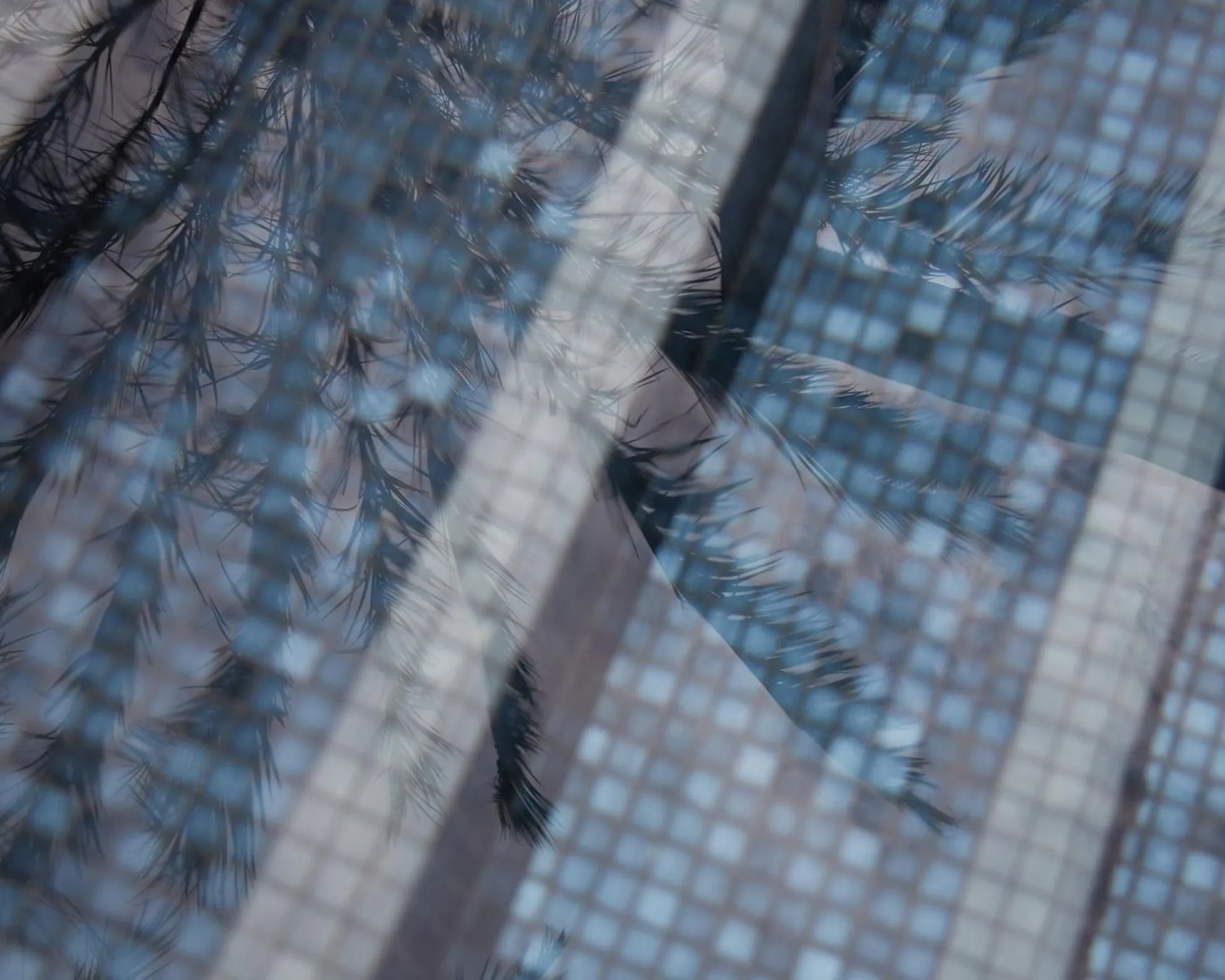 Swimming pool in Regent Beijing