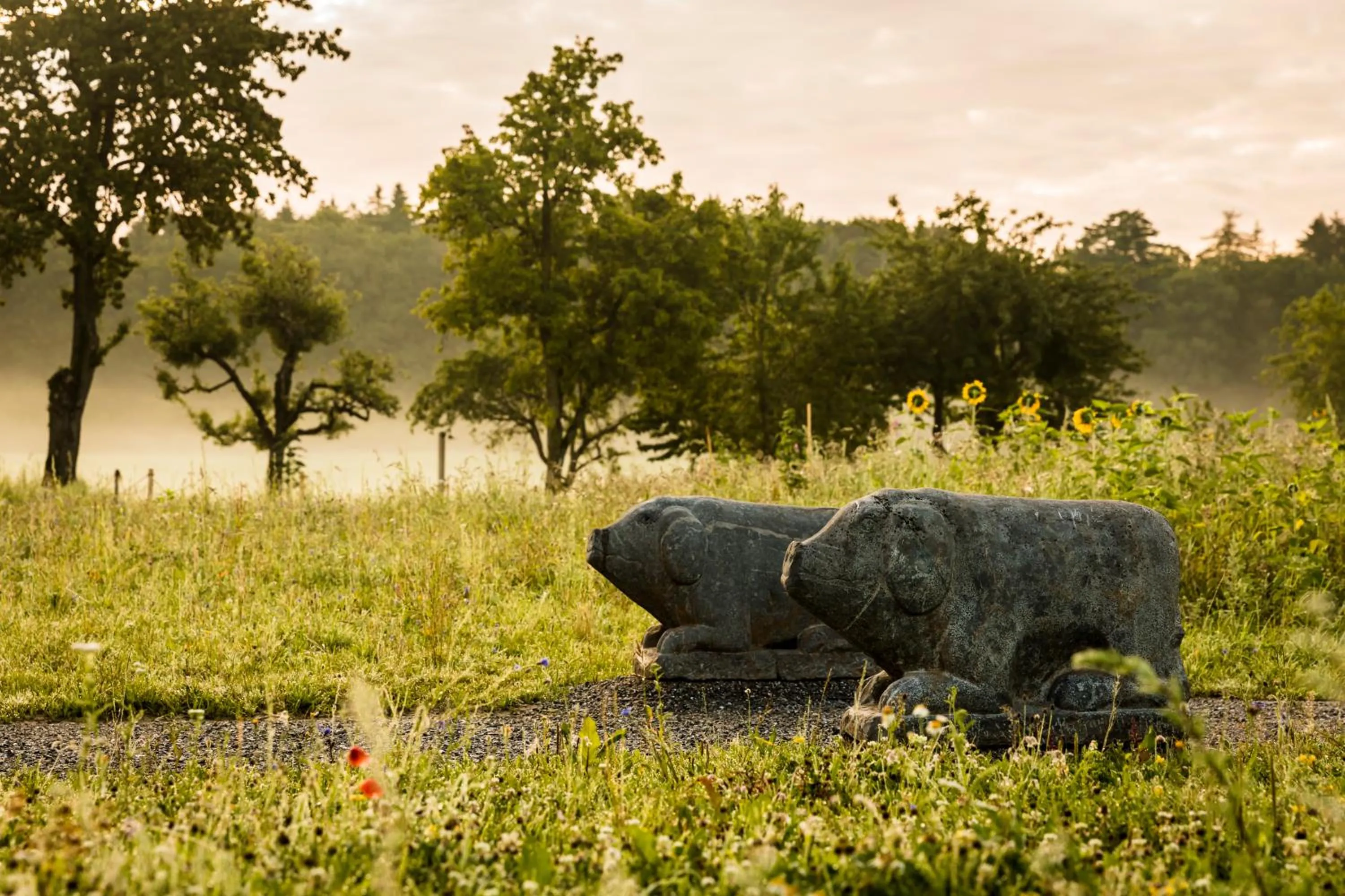 Garden in Gut Sonnenhausen