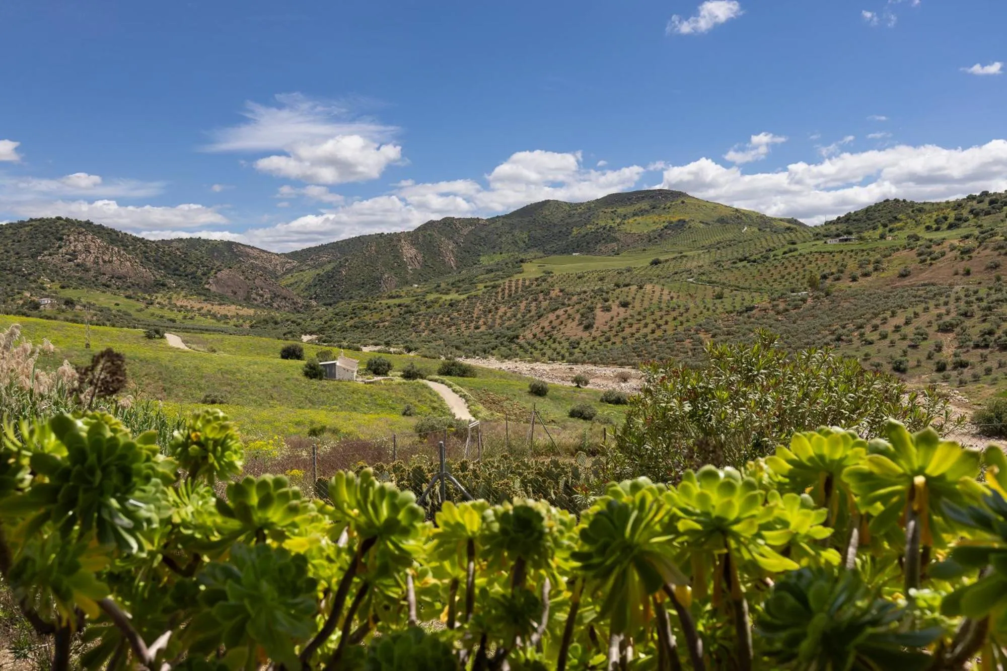 Natural landscape in Boutique B&B Cortijo Valverde Álora