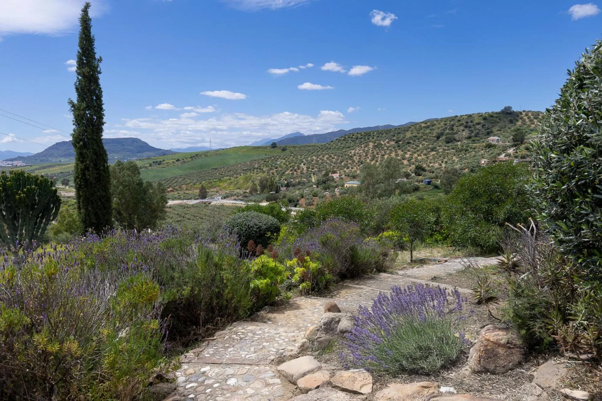 Natural landscape in Boutique B&B Cortijo Valverde Álora