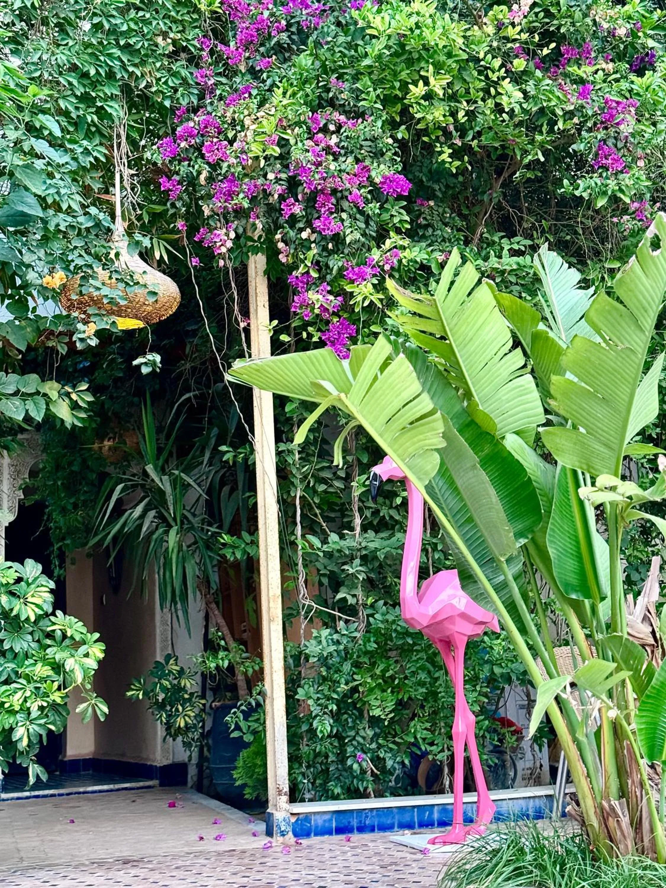 Garden in Palais Shazam & SPA