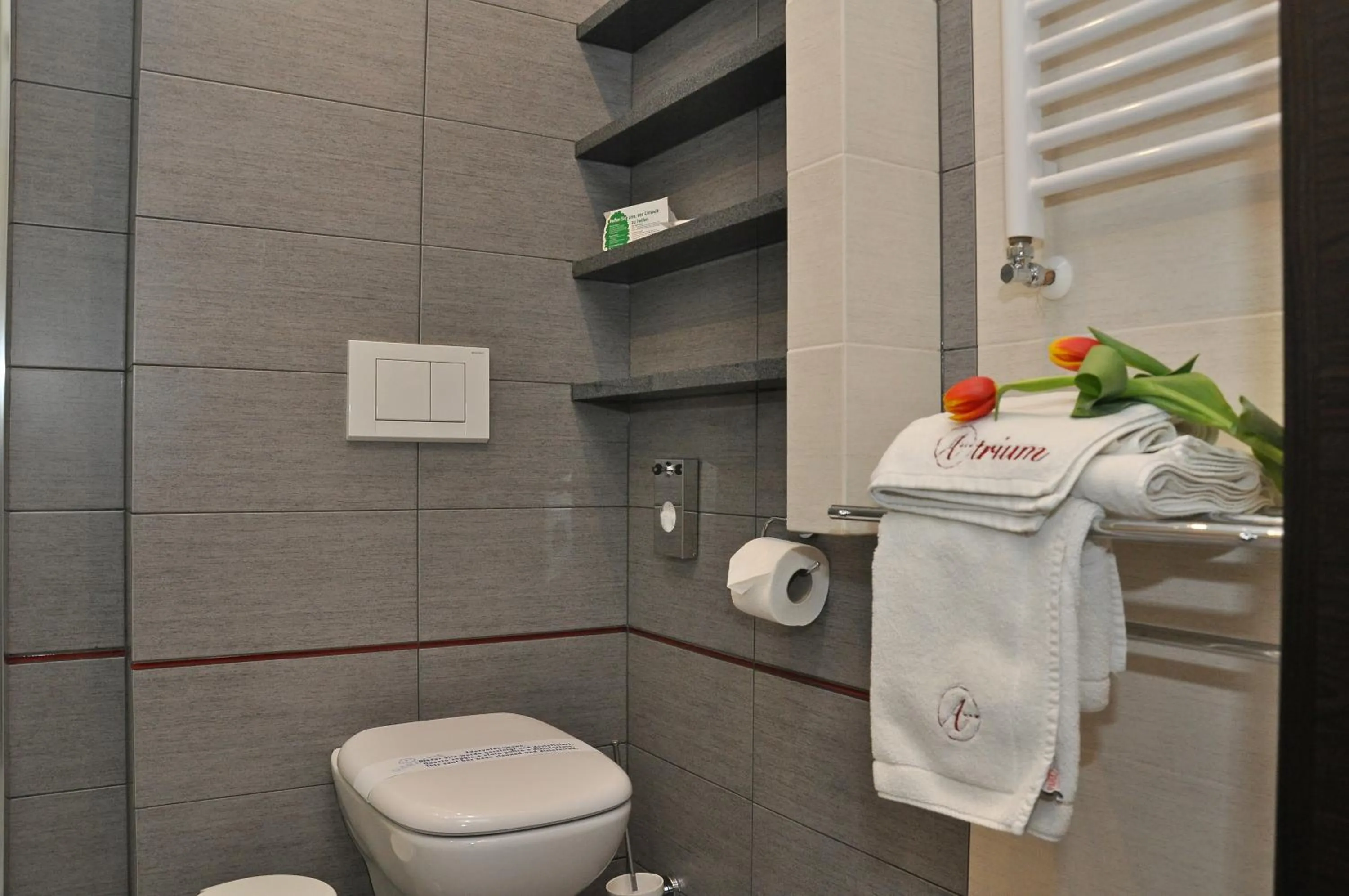 Bathroom in Hotel Atrium