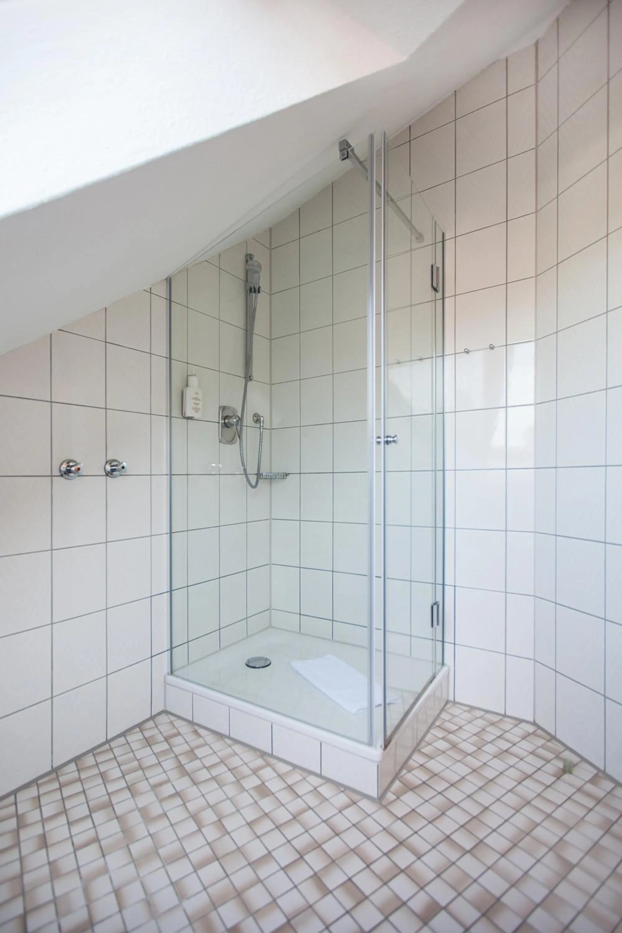 Shower in Hotel Lamm