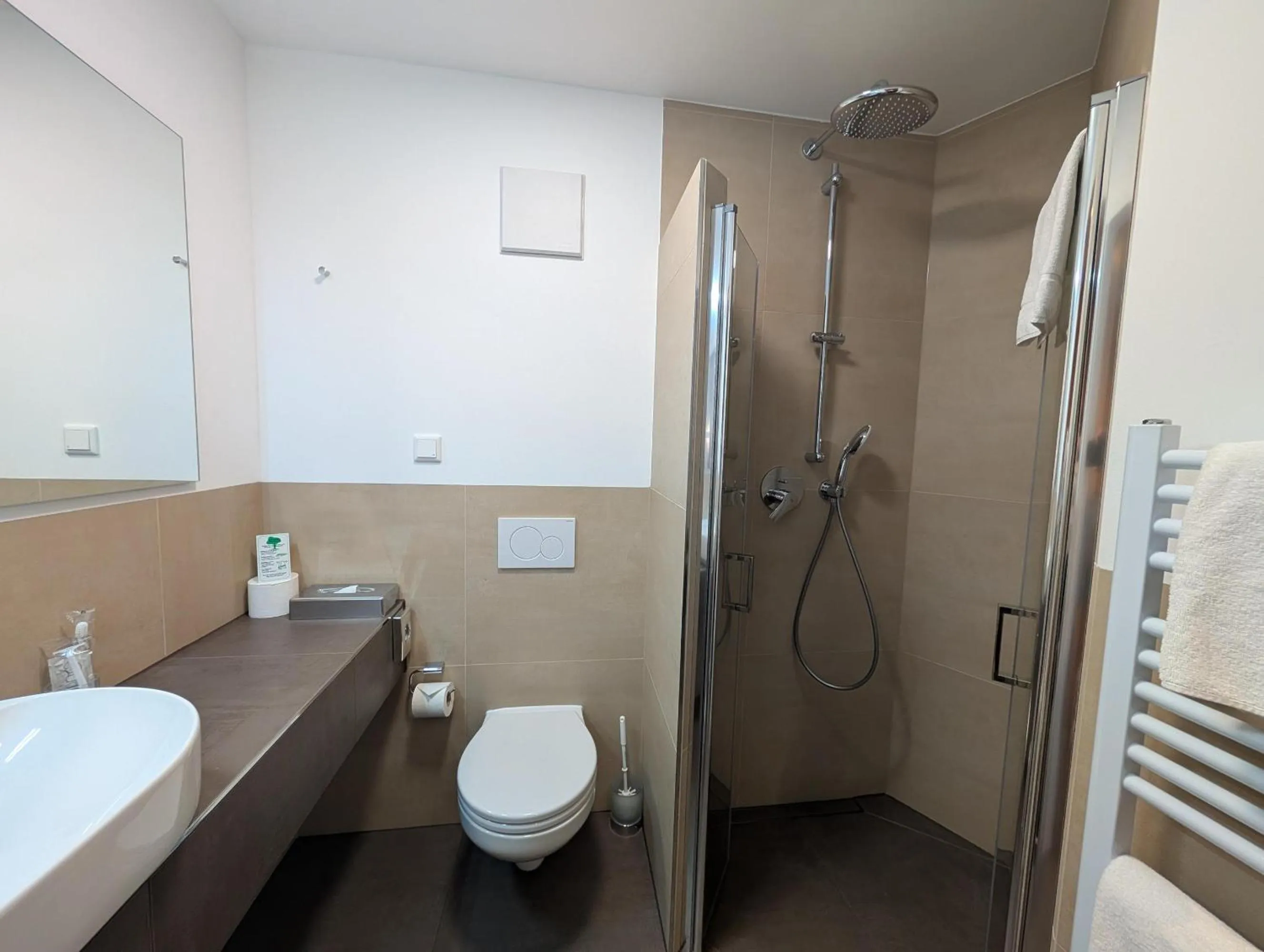 Shower in Hotel Lamm