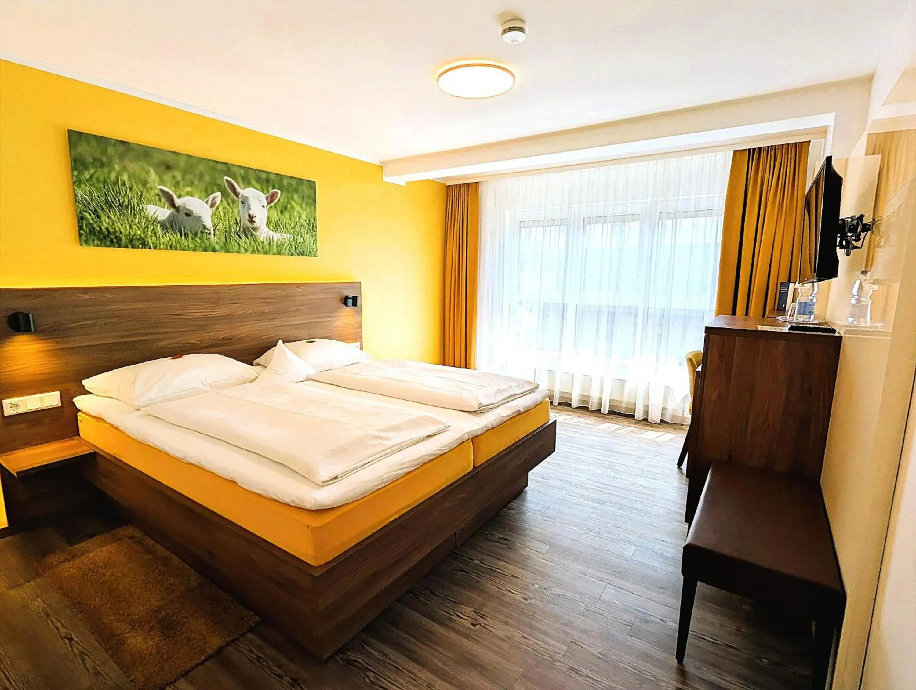 Double Room - single occupancy - Disability Access in Hotel Lamm Double Room - single occupancy - Disability Access in Hotel Lamm