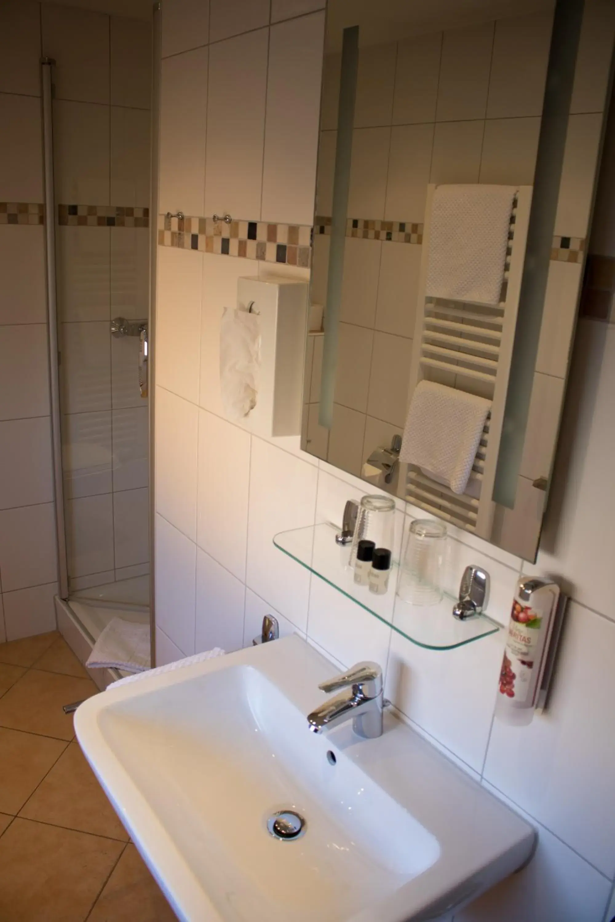 Double Room in Hotel Rosenbusch Double Room in Hotel Rosenbusch