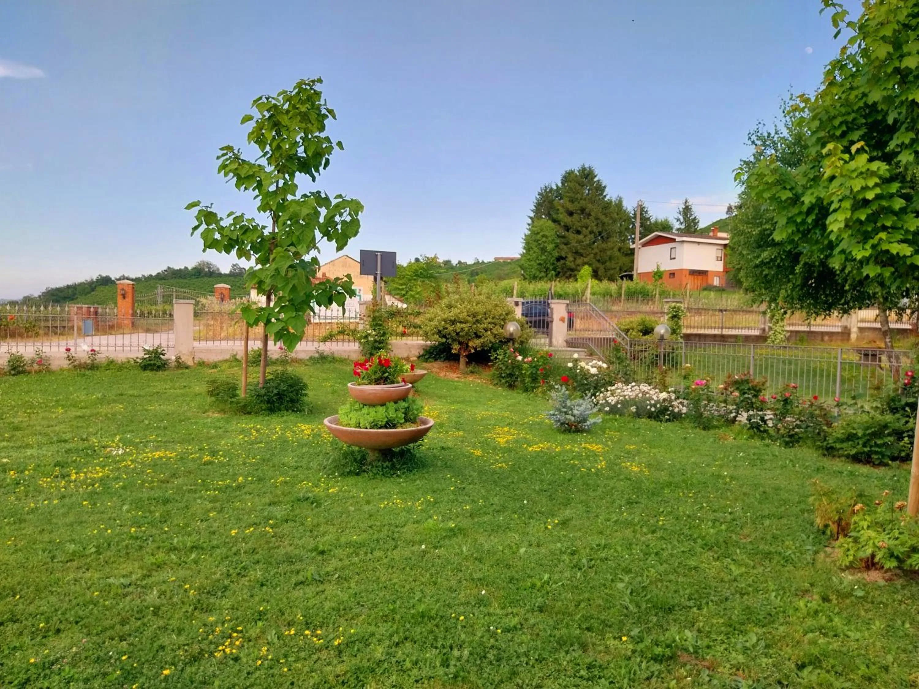 Garden in Villa Bellavista Alba, B&B
