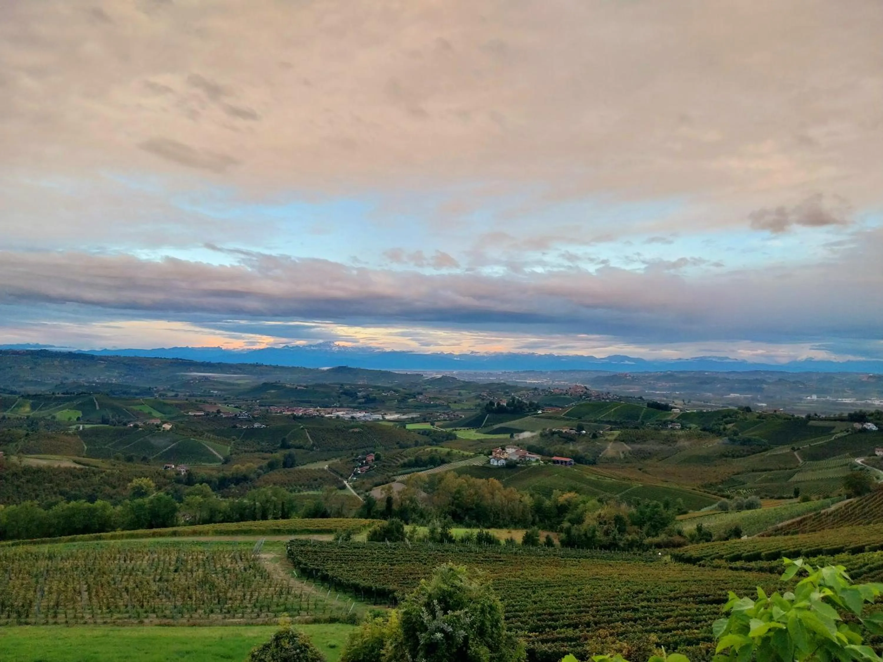 Natural landscape in Villa Bellavista Alba, B&B