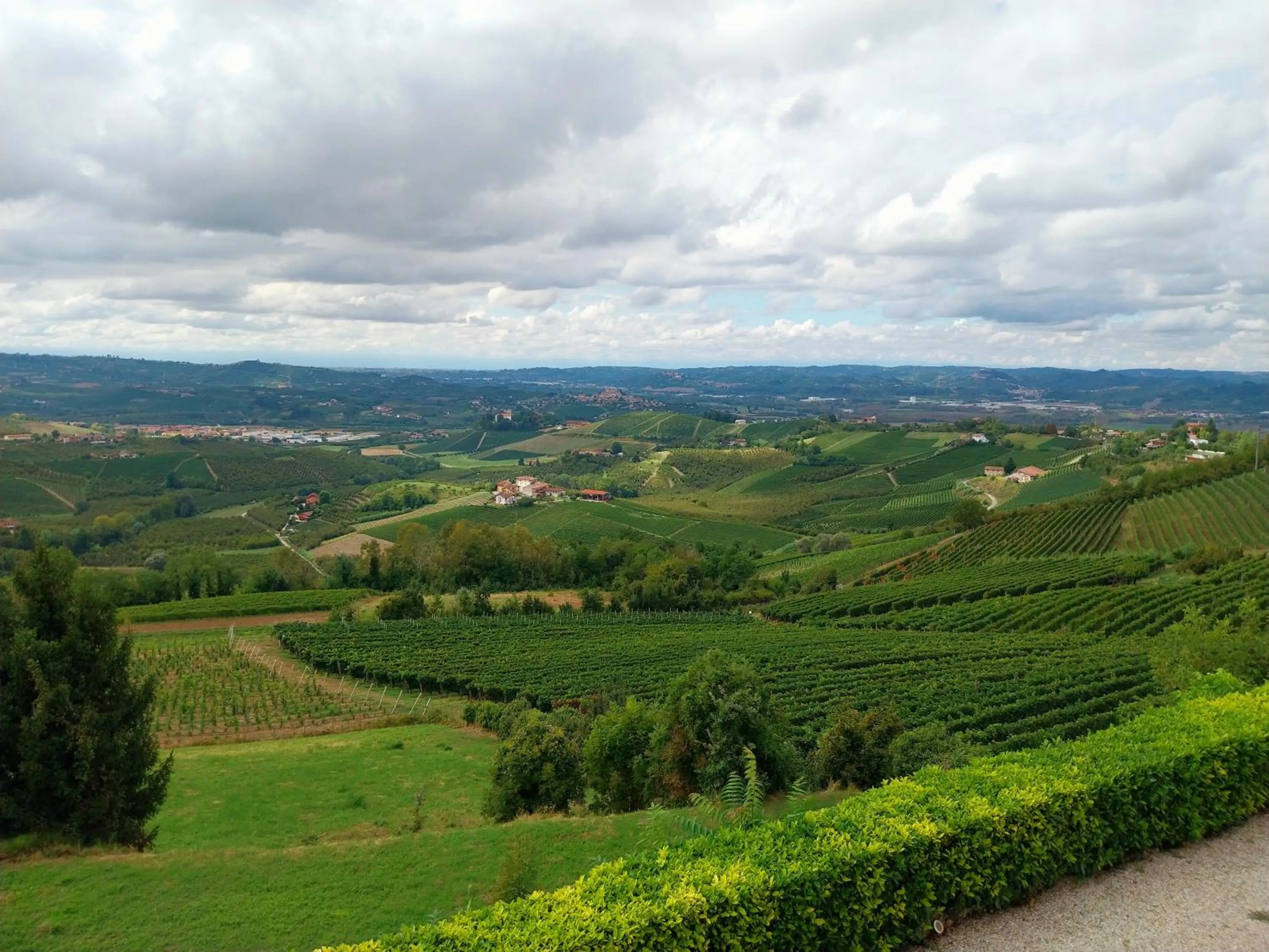 Natural landscape in Villa Bellavista Alba, B&B