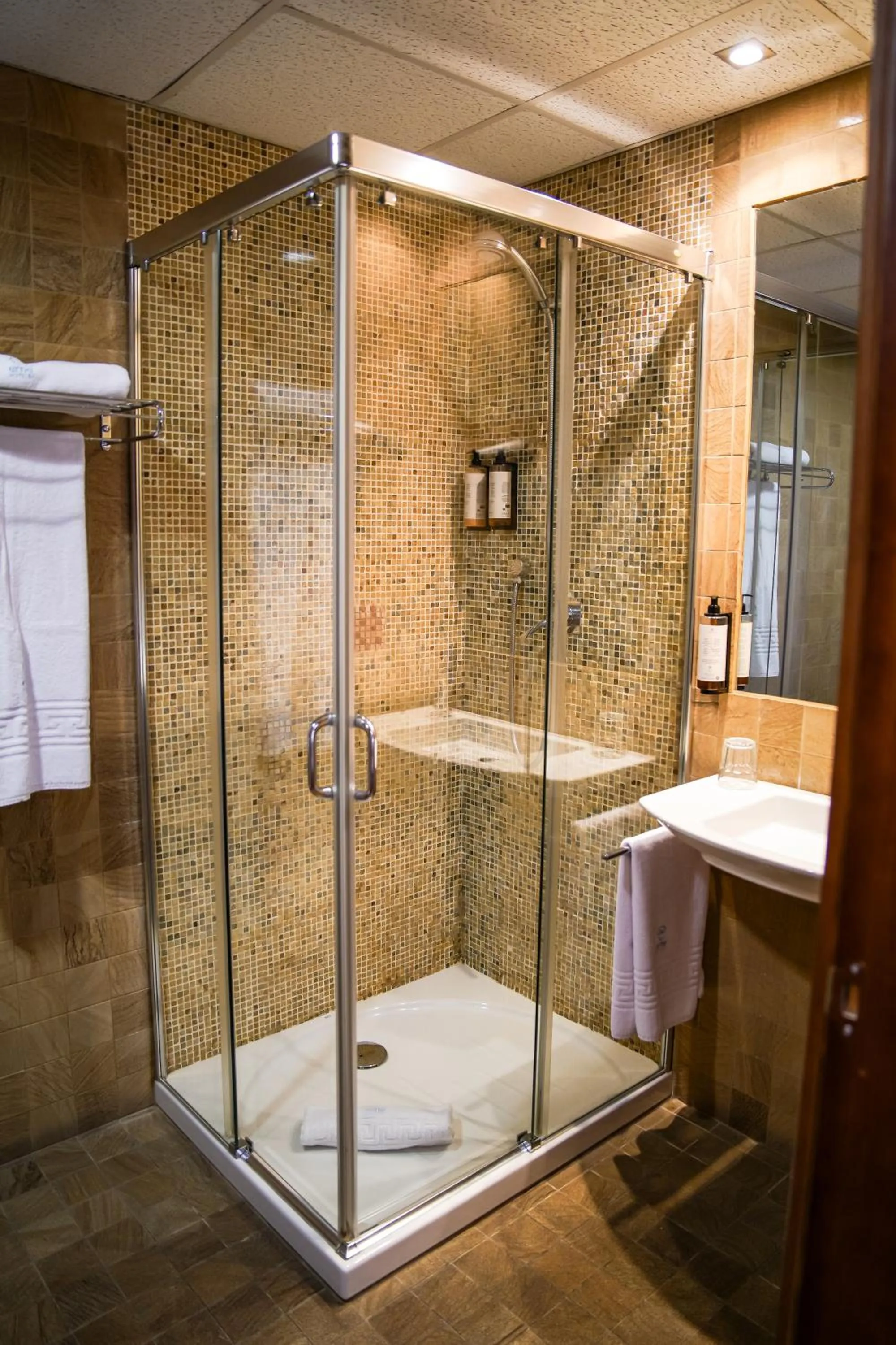 Shower in Hotel Baeza Monumental by eme hoteles