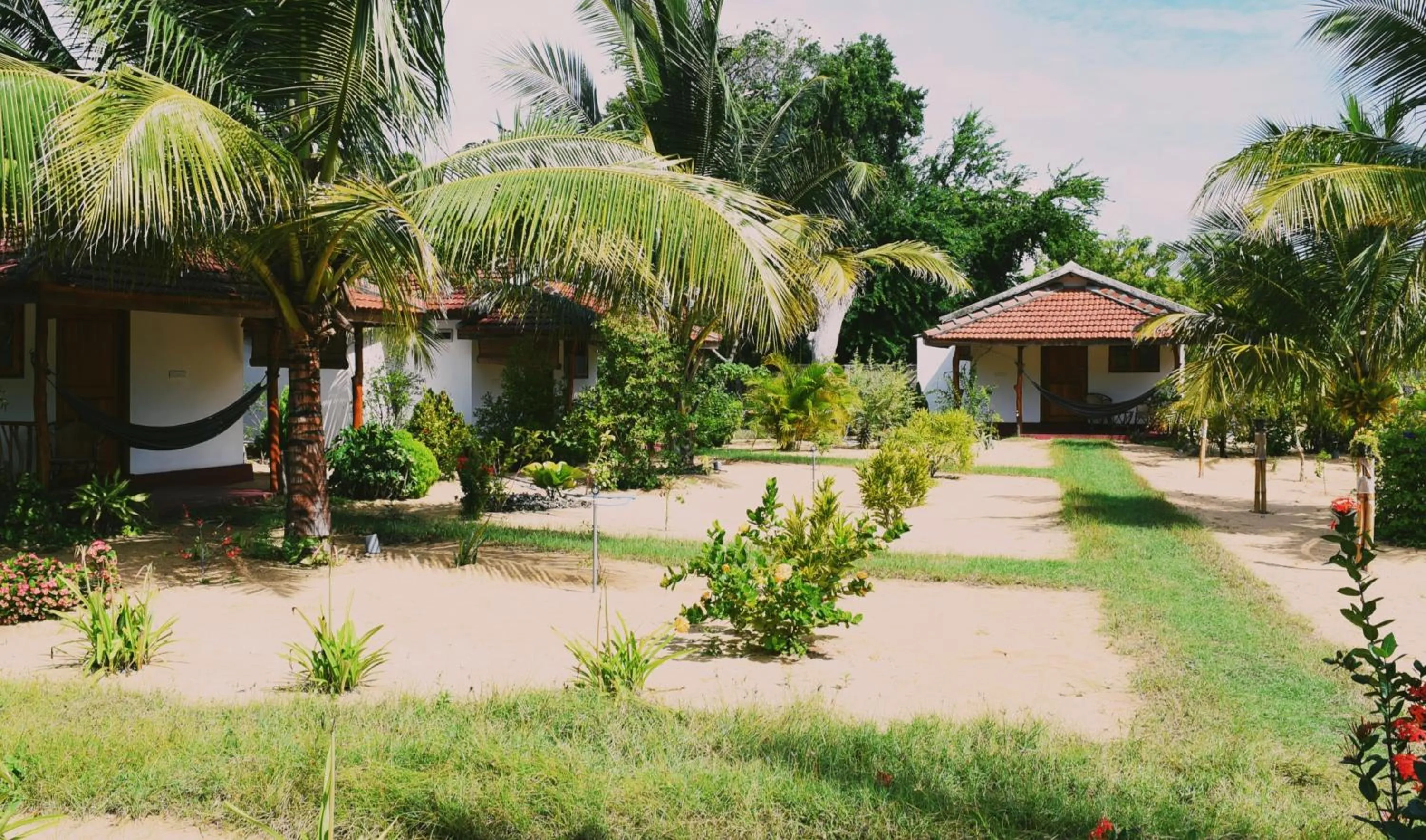 Property building in Prime Surfers Bungalow