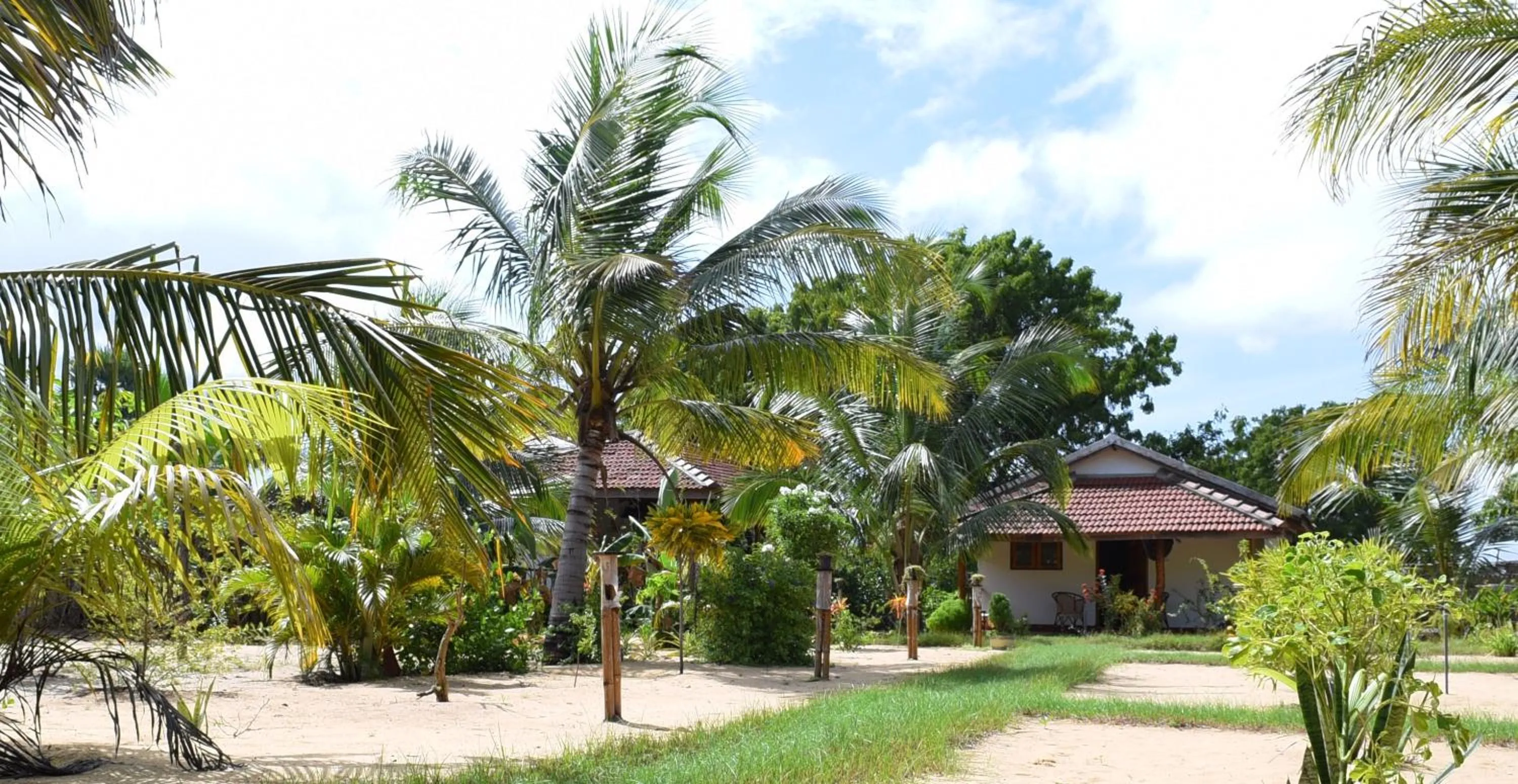 Property building in Prime Surfers Bungalow