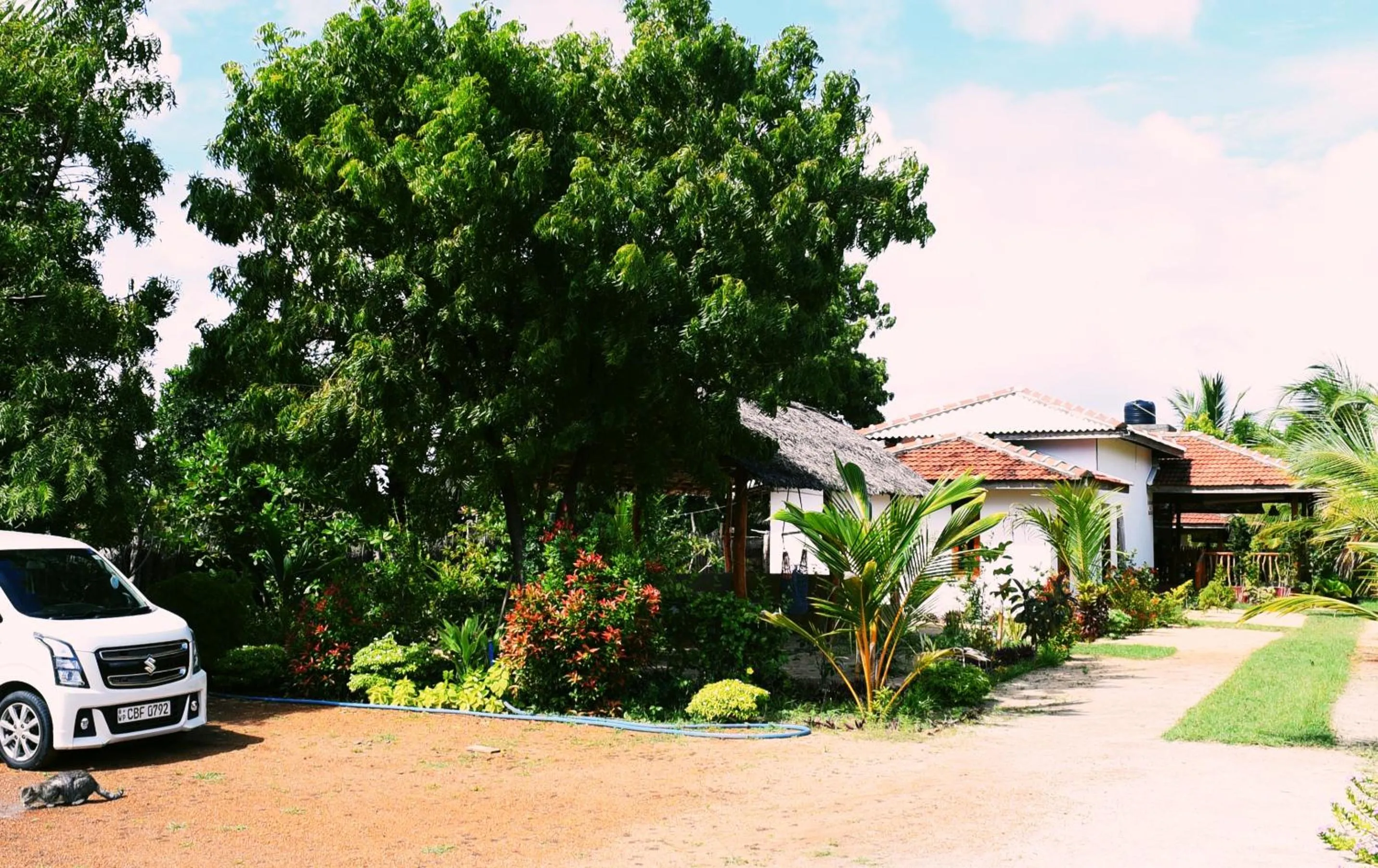 Property building in Prime Surfers Bungalow