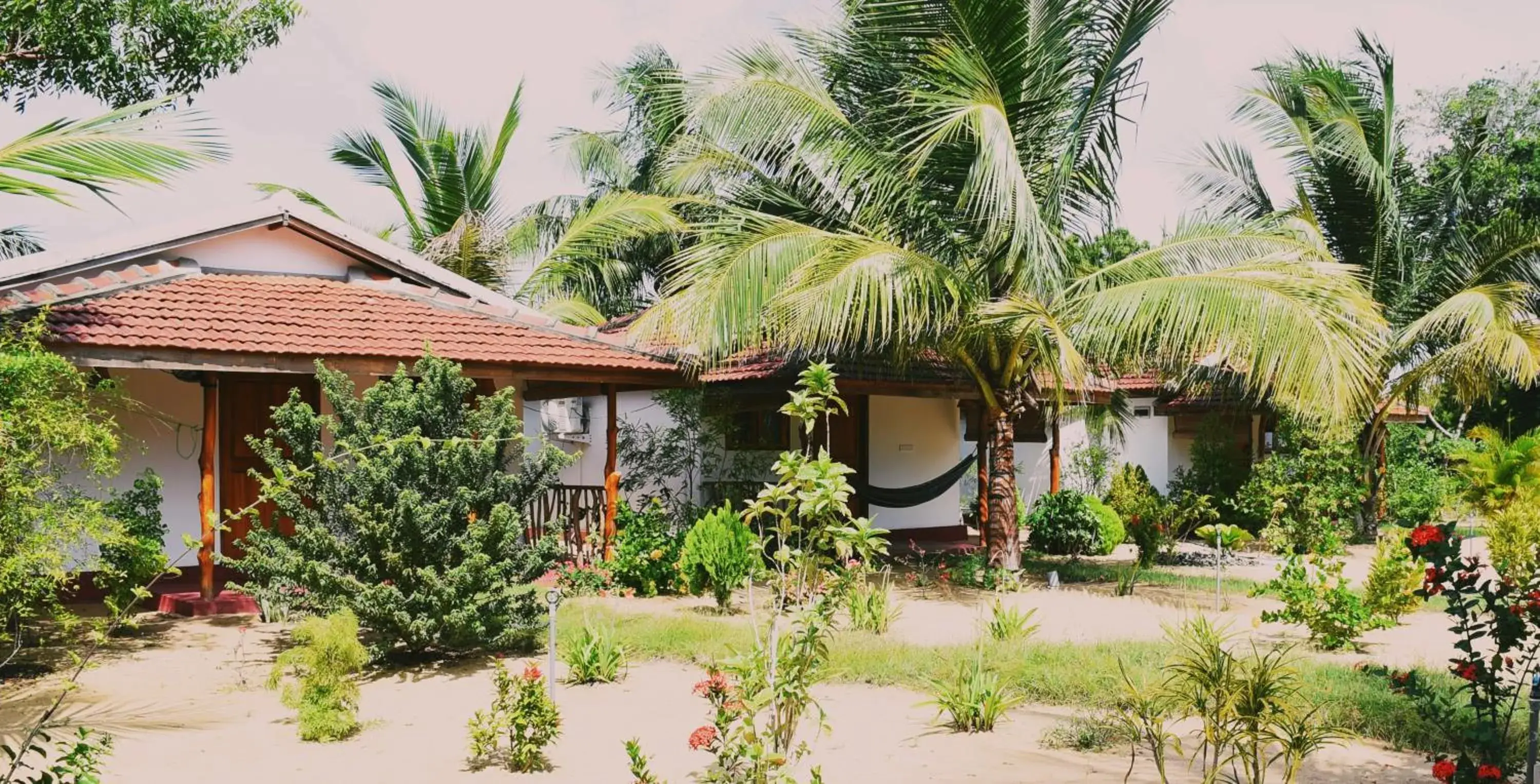 Queen Room with Garden View in Prime Surfers Bungalow Queen Room with Garden View in Prime Surfers Bungalow
