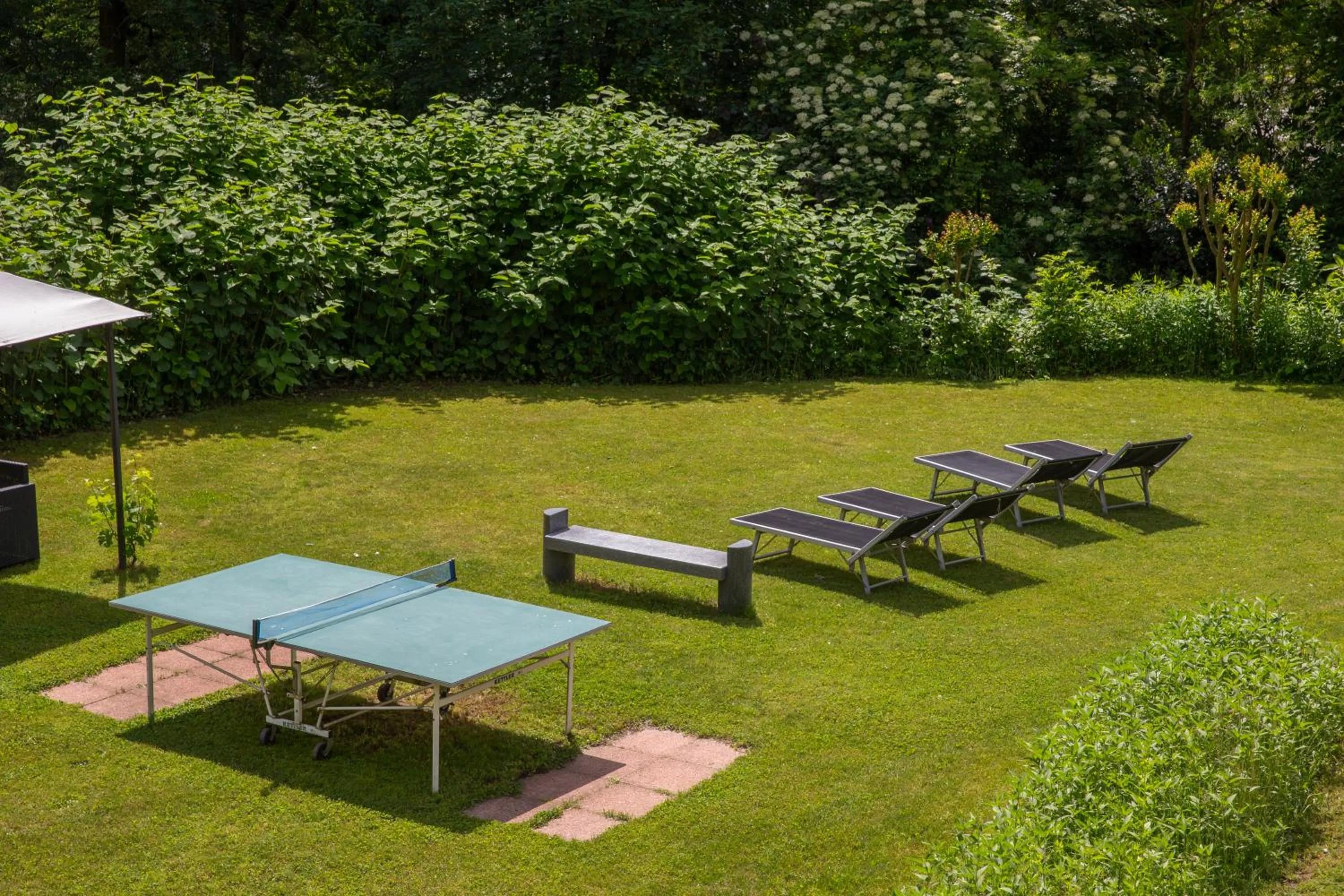 Garden in Hotel Al Fiume