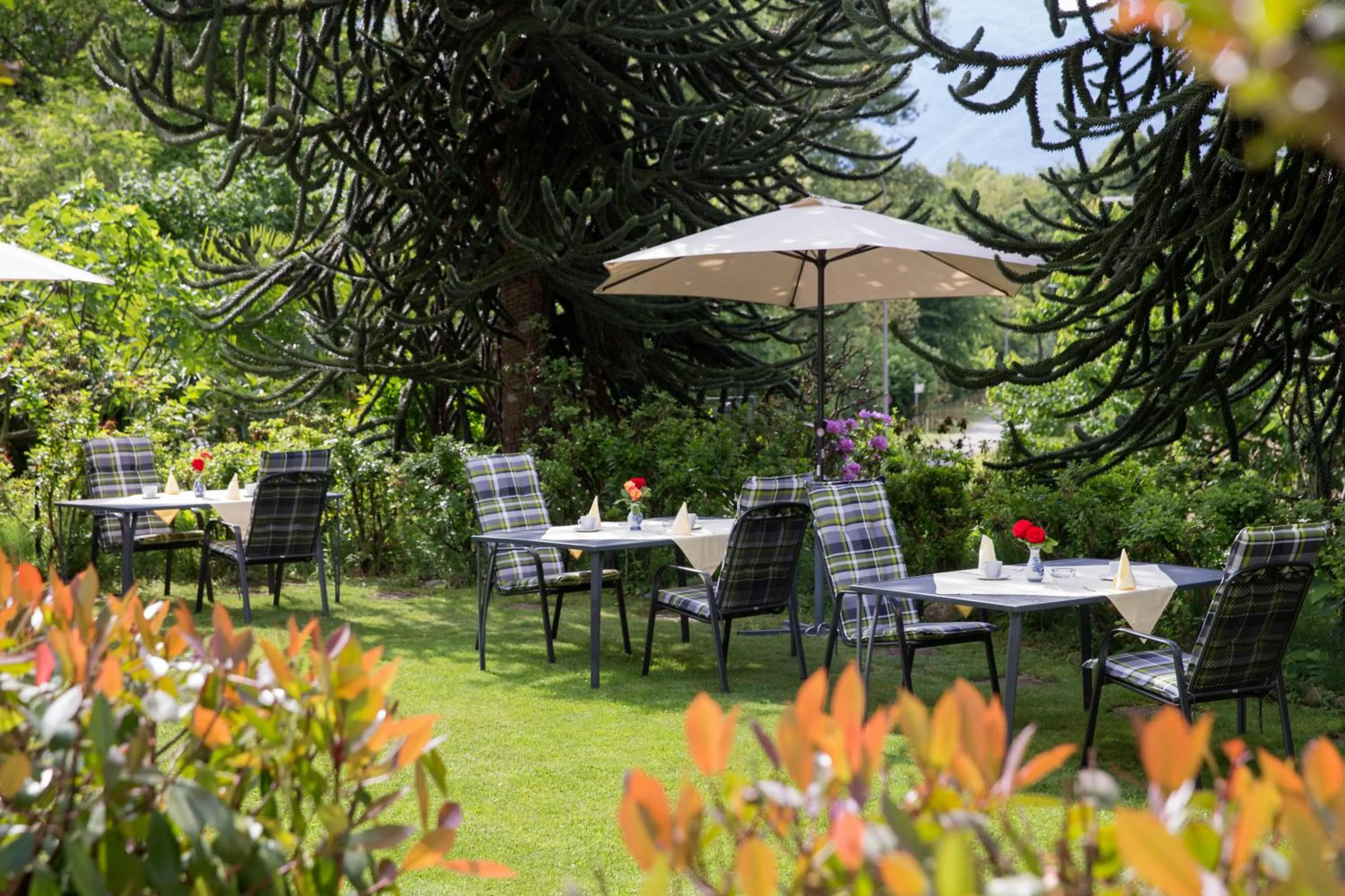 Garden in Hotel Al Fiume