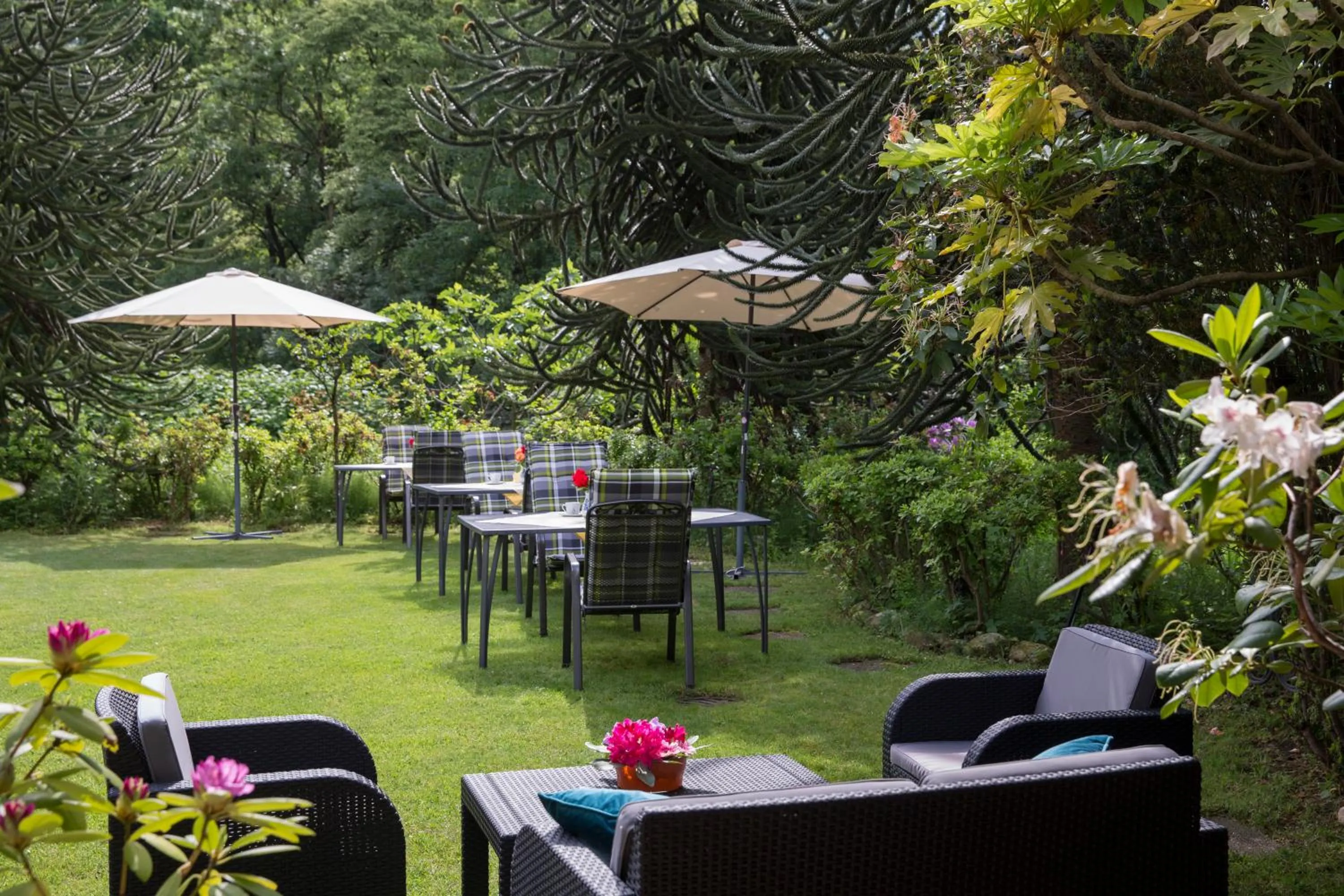 Garden in Hotel Al Fiume