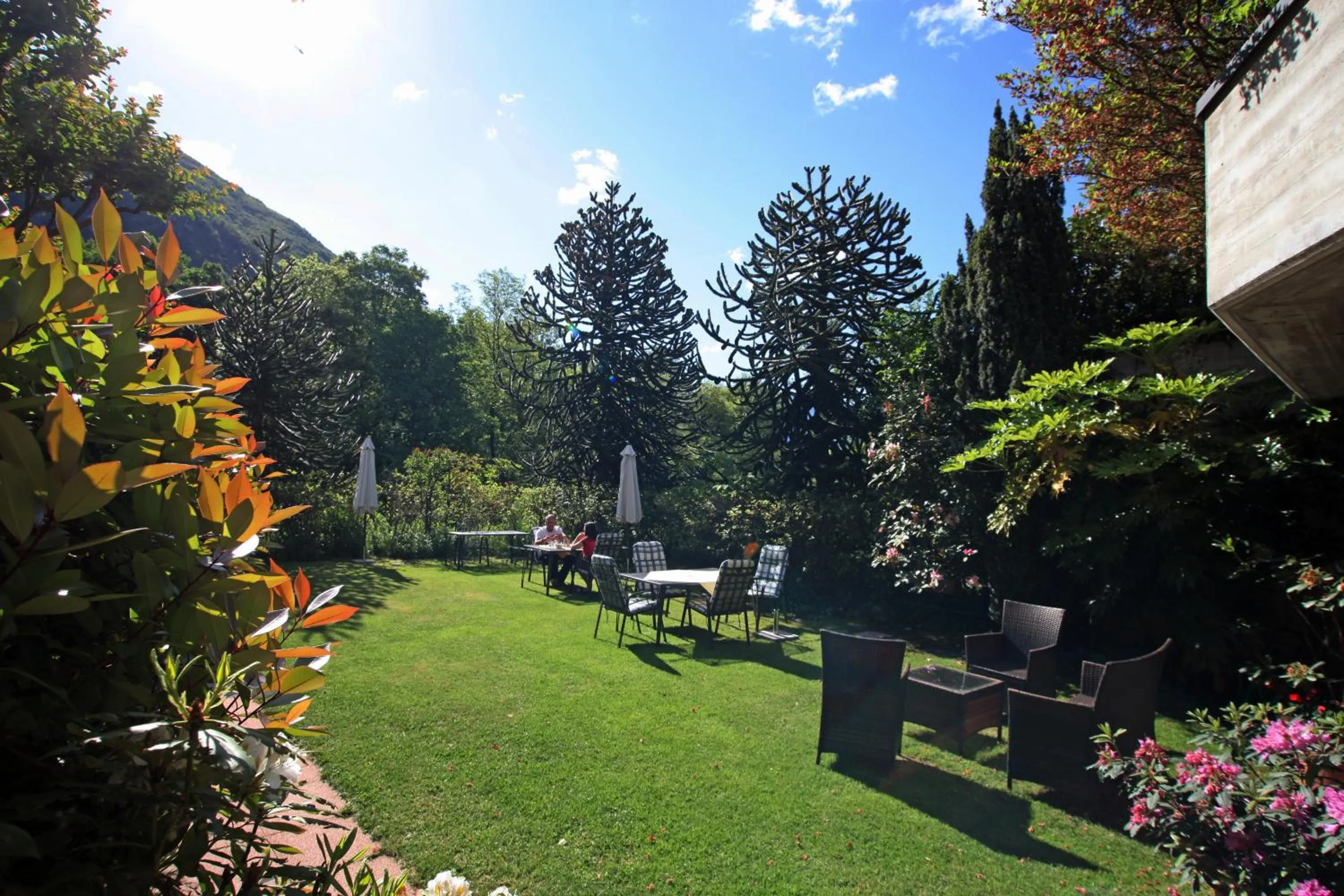 Restaurant/places to eat in Hotel Al Fiume