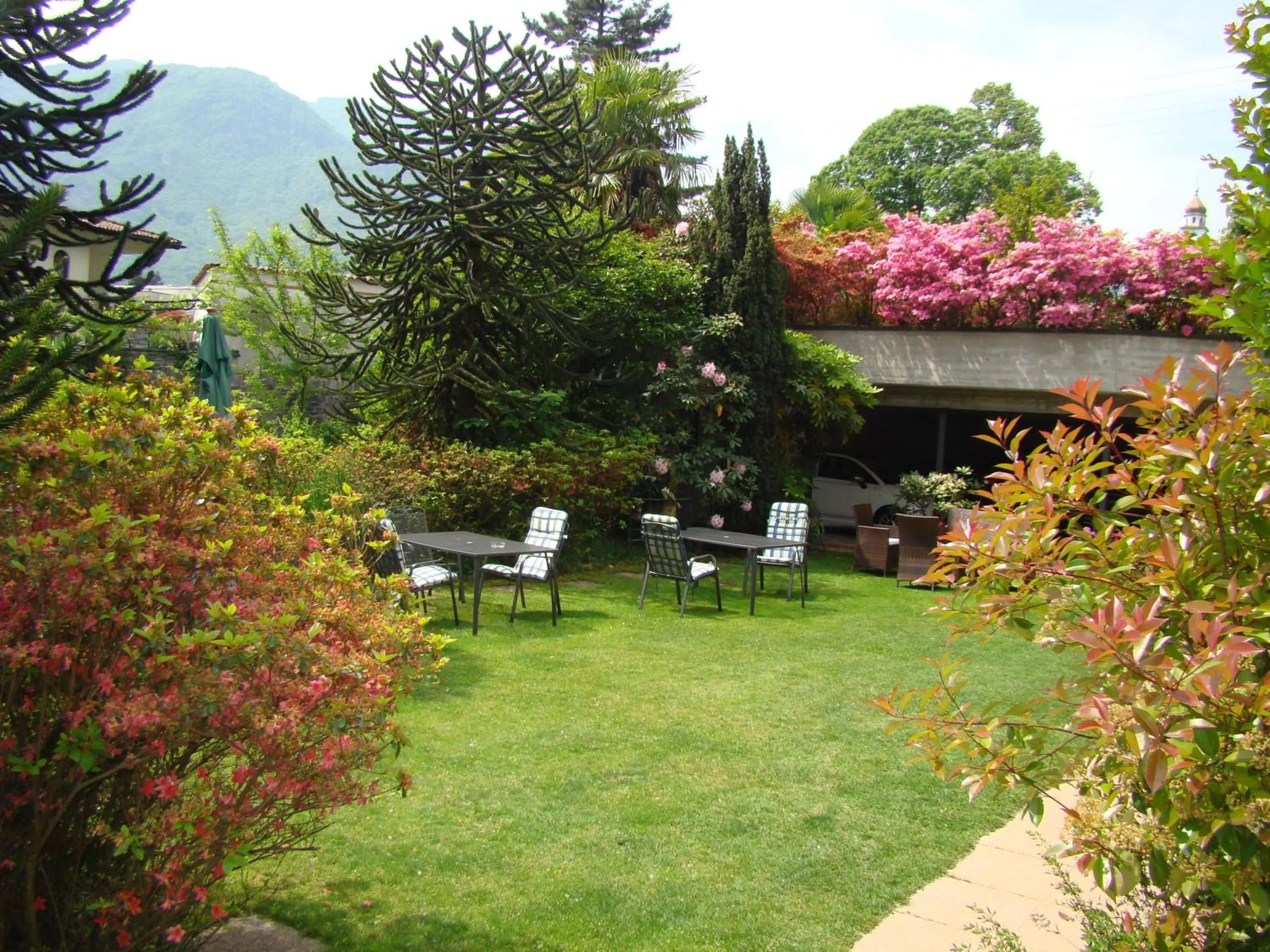 Garden in Hotel Al Fiume