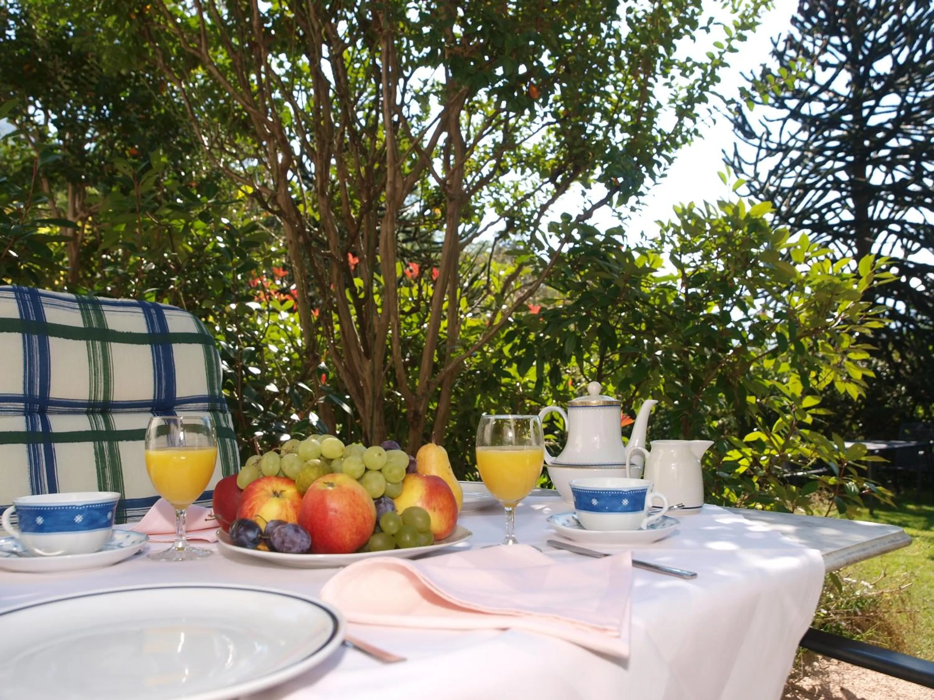 Garden in Hotel Al Fiume