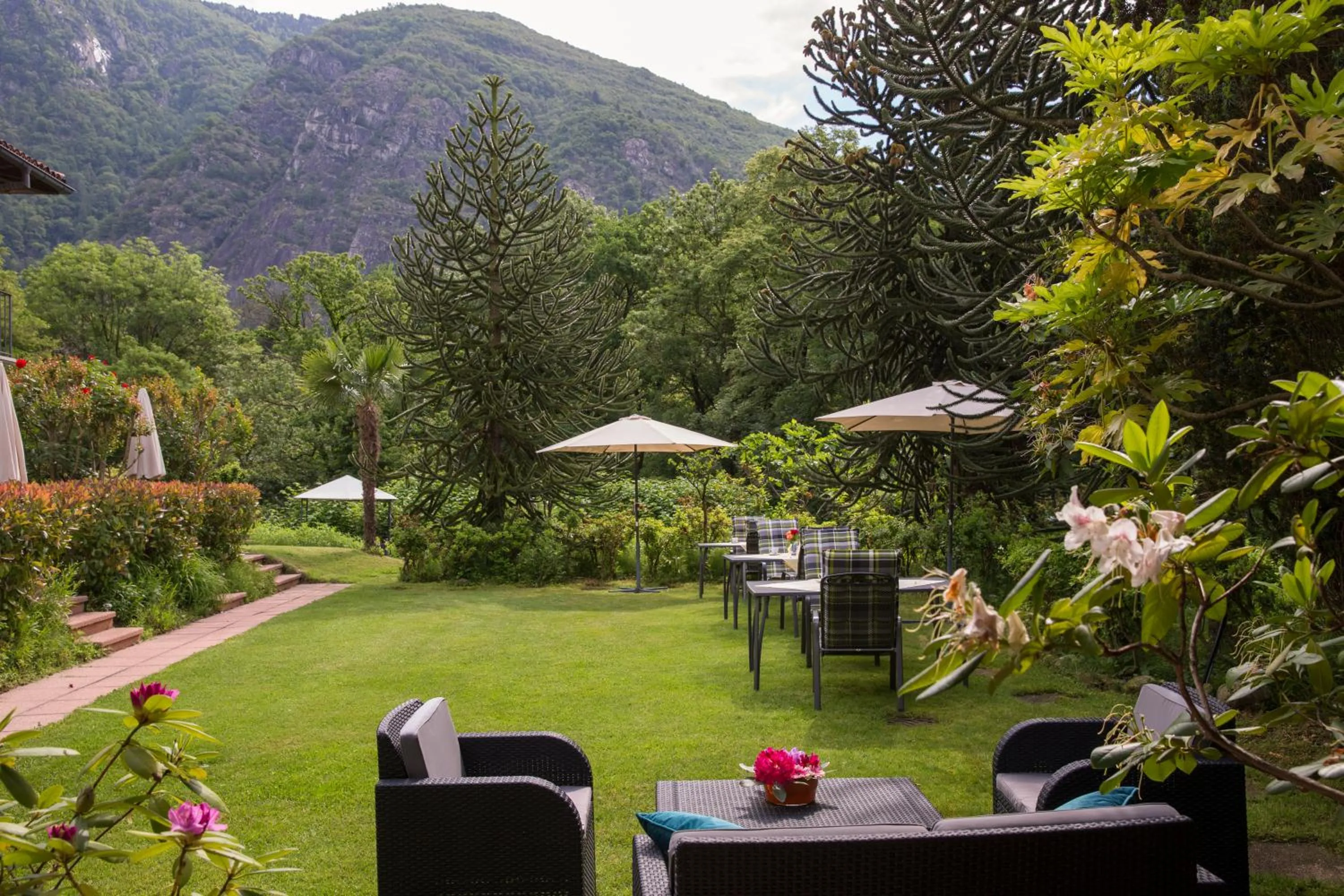 Restaurant/places to eat in Hotel Al Fiume